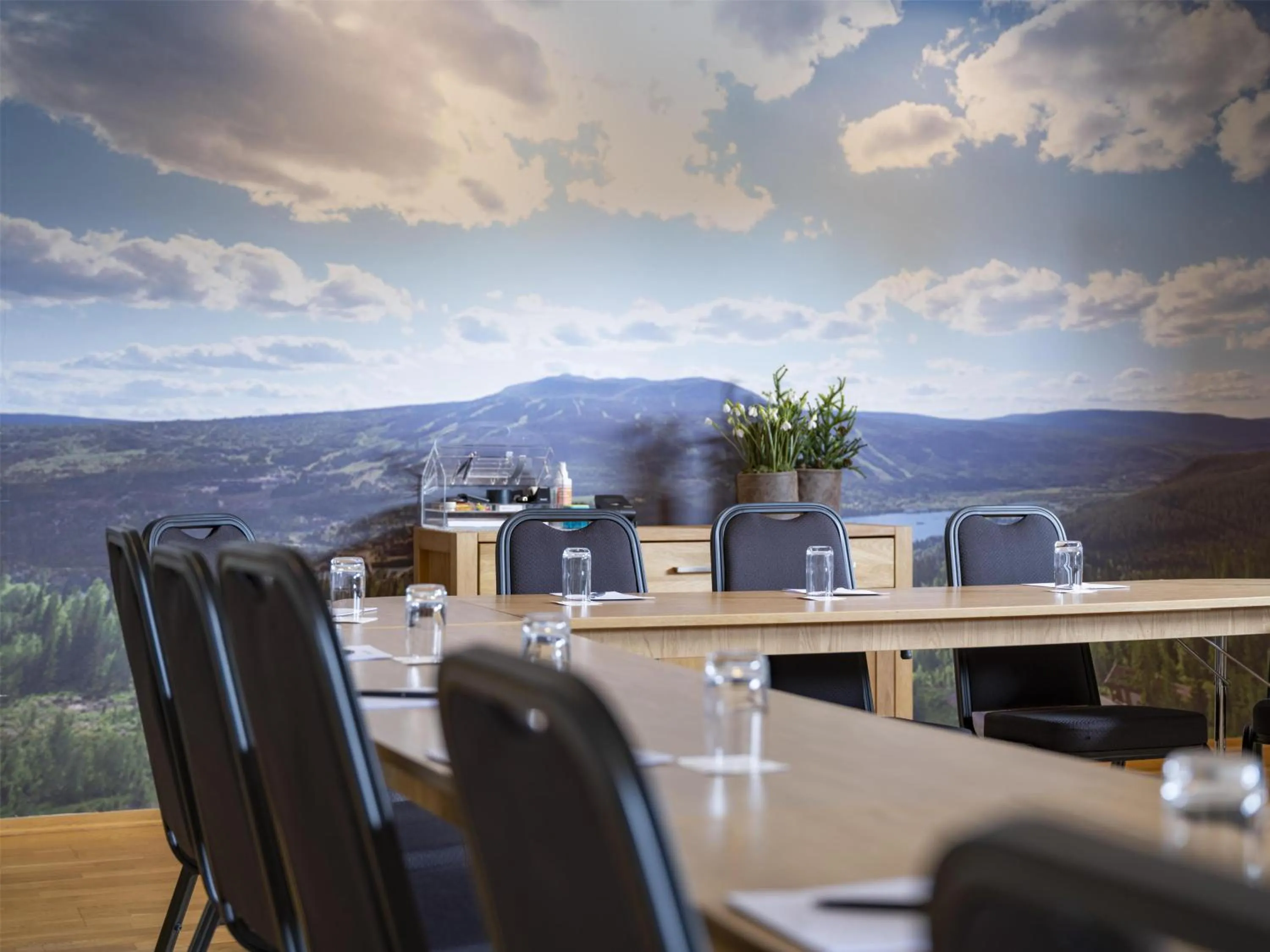 Business facilities in Radisson Blu Resort, Trysil