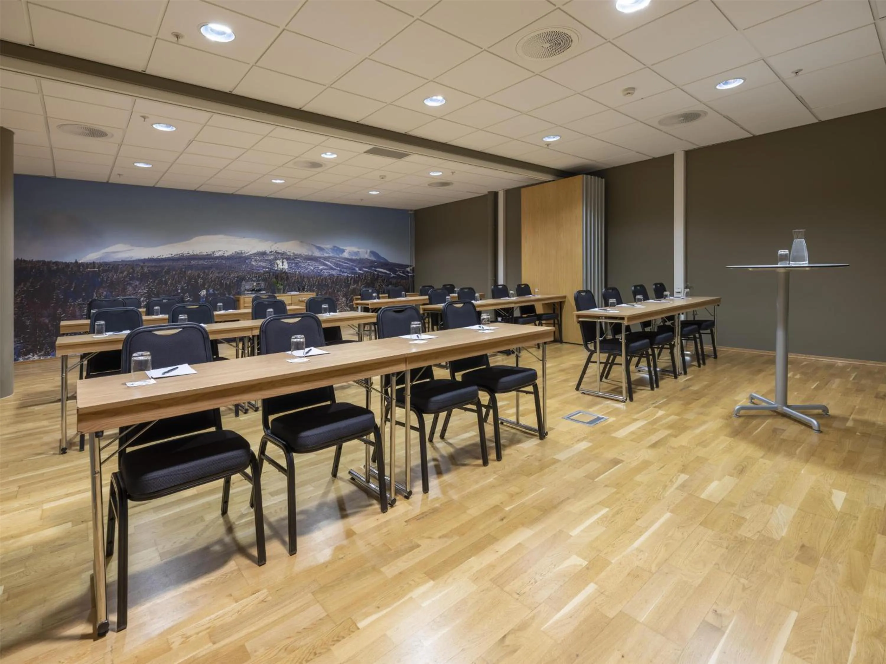 Meeting/conference room in Radisson Blu Resort, Trysil