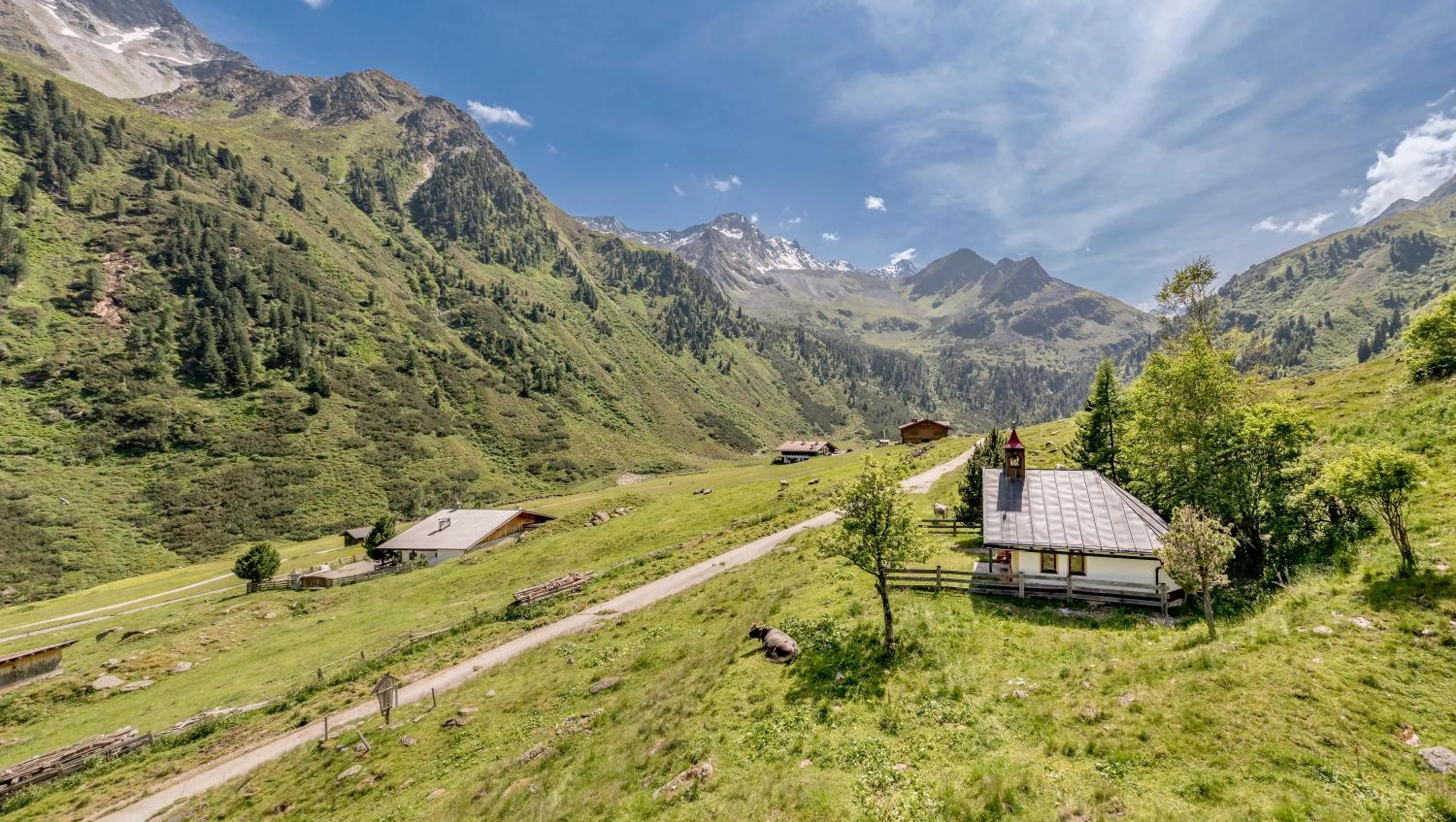 Hiking in Pension Almrausch