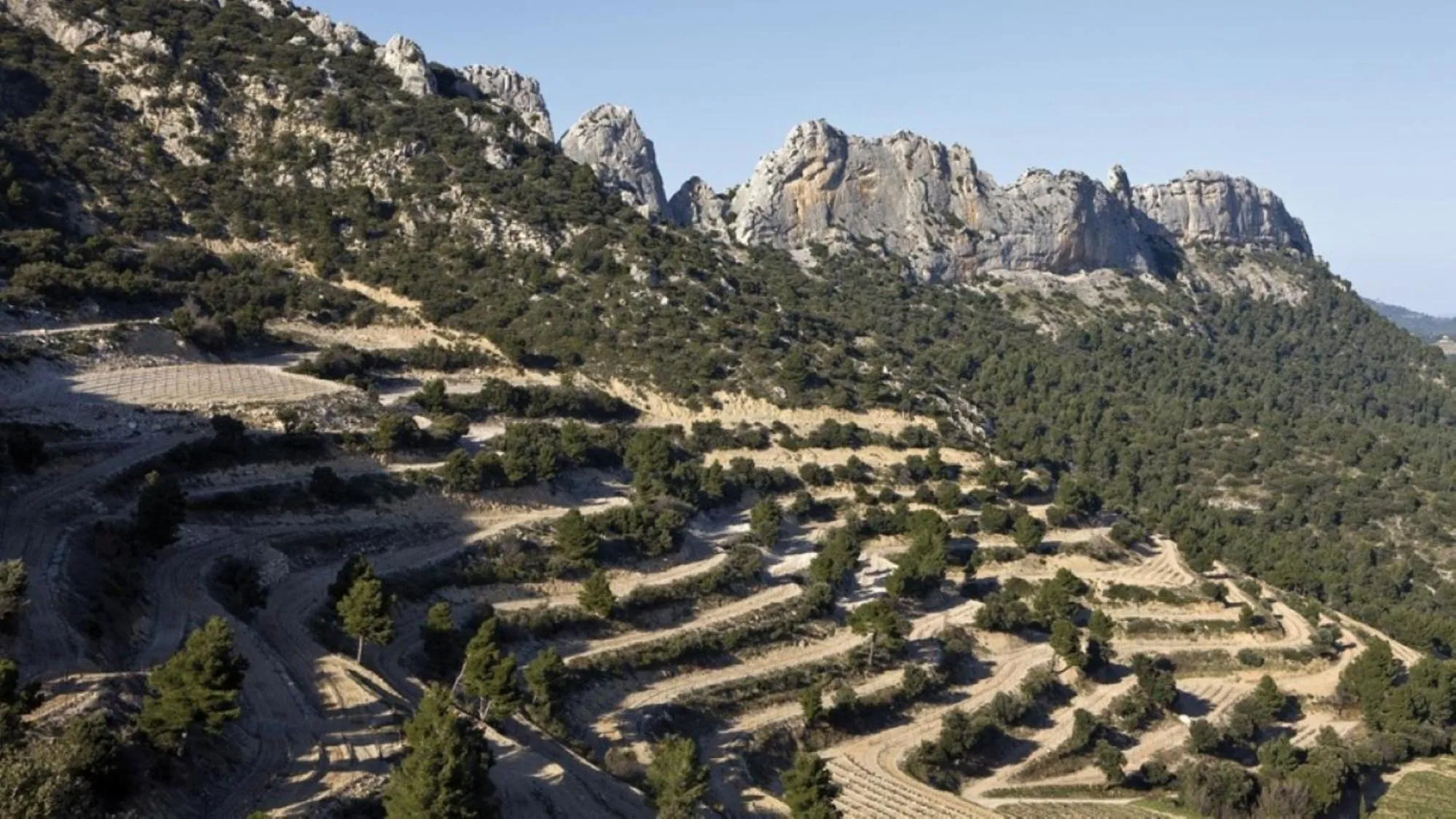 Neighbourhood in Le Jardin de Lau