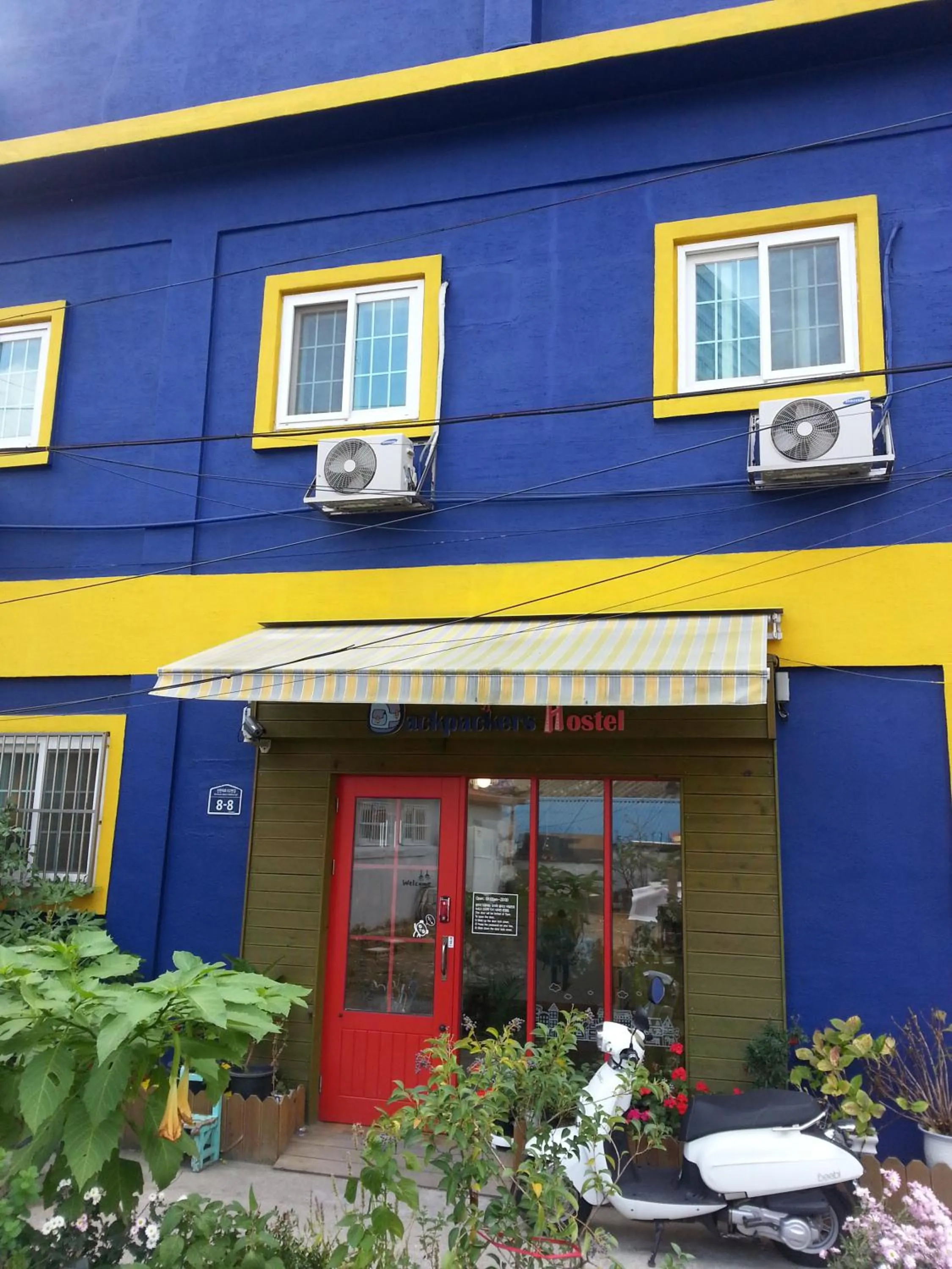Property building in Blue Backpackers Hostel