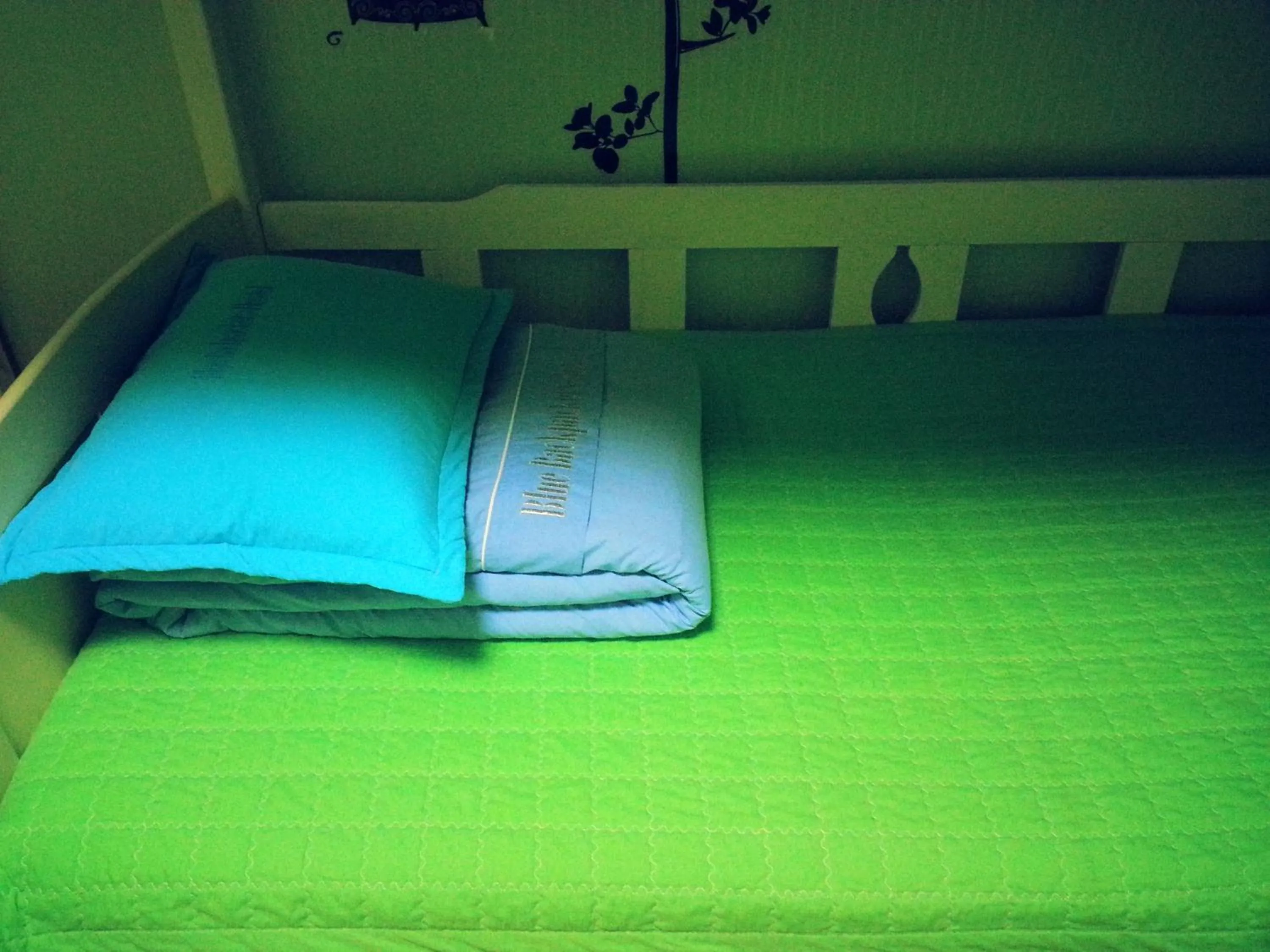 Bed in Blue Backpackers Hostel