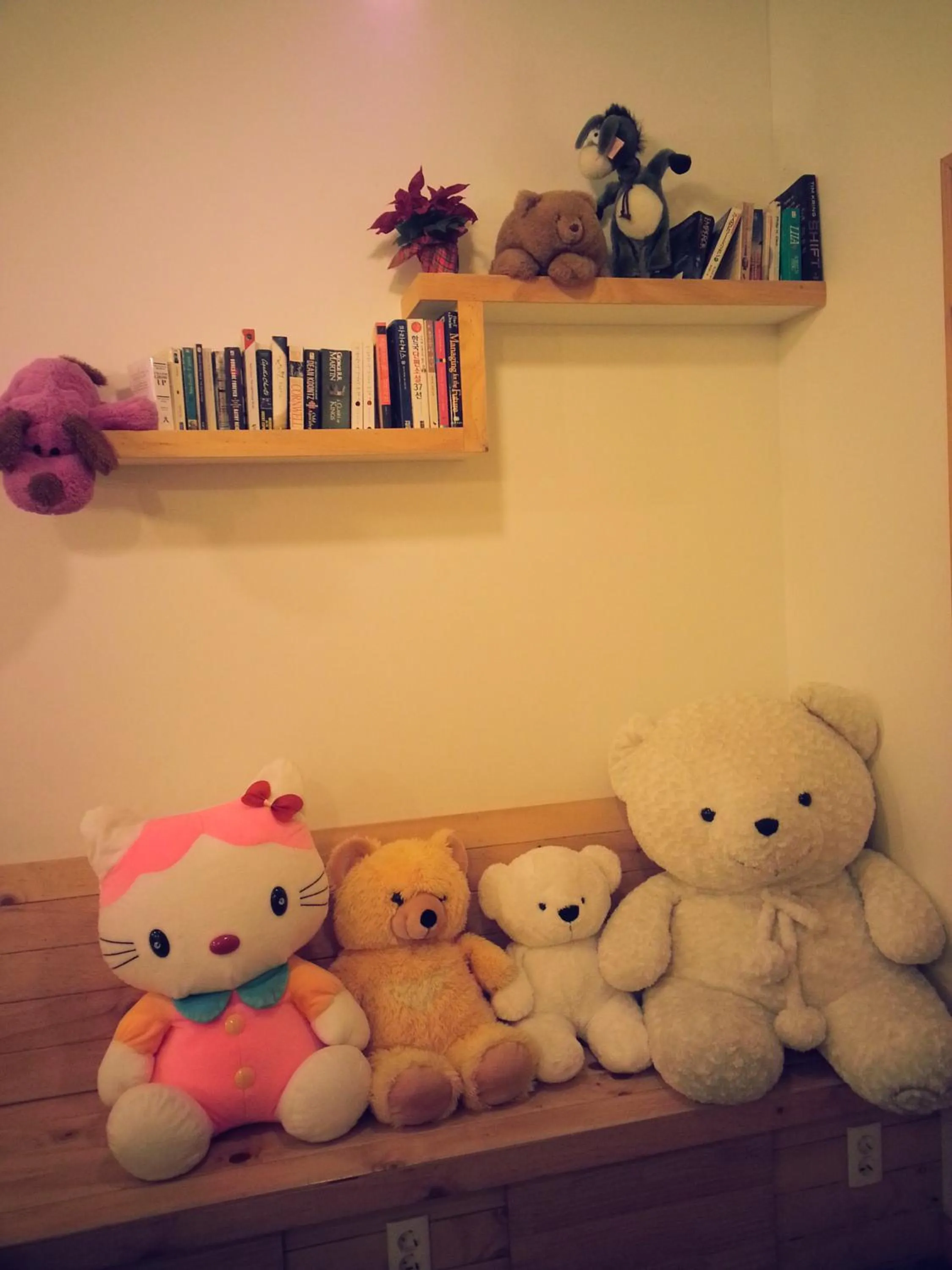 Blue Backpackers Hostel