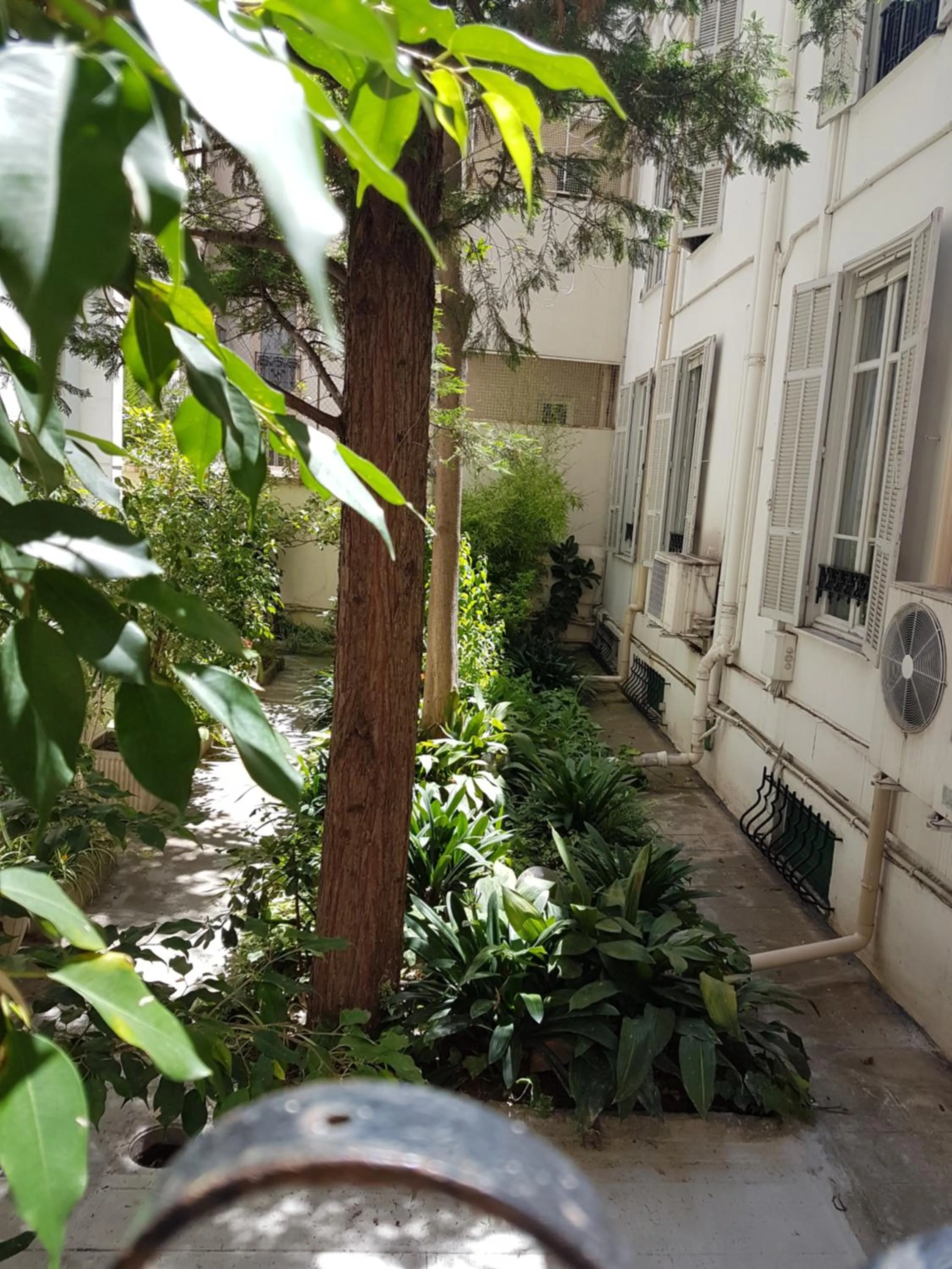 Garden in Hotel Cronstadt