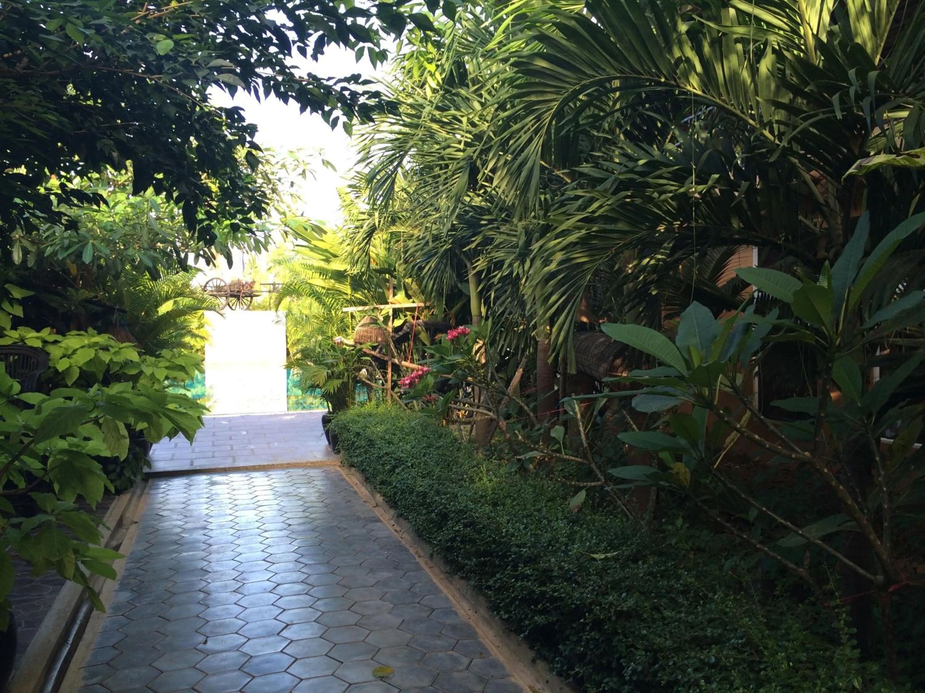 Garden in Delux Villa