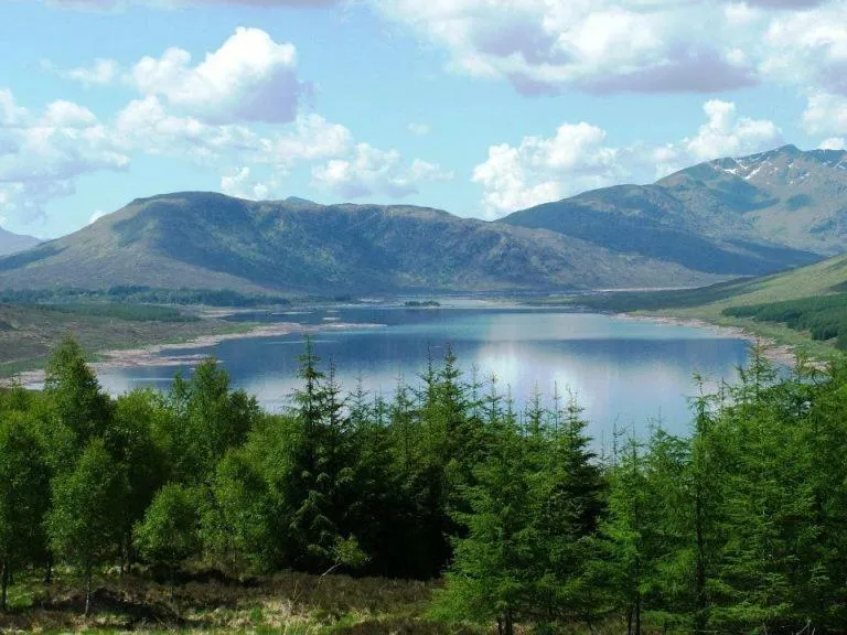 Area and facilities in The Loch Lomond Arms Hotel