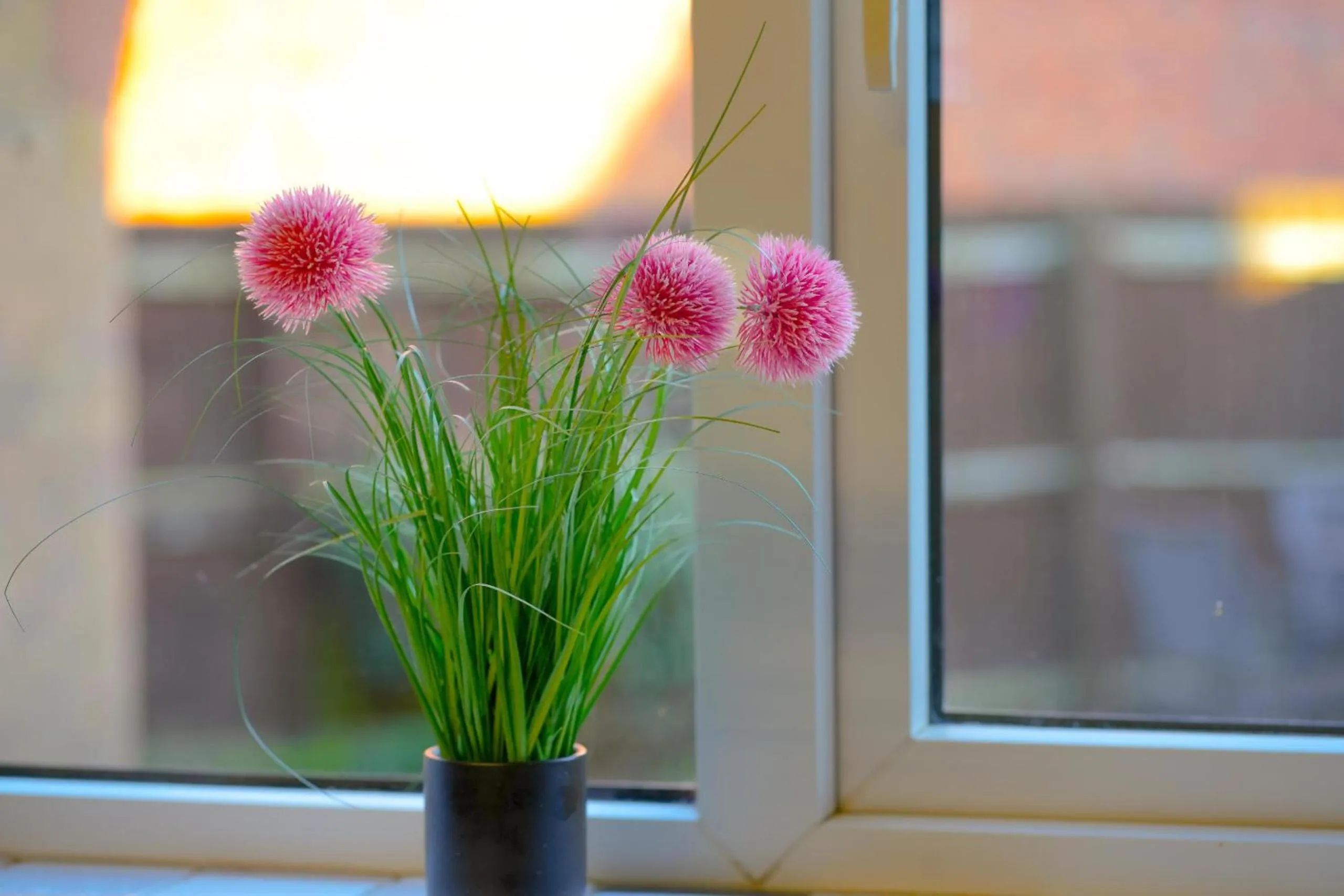 Other in Taylor Close