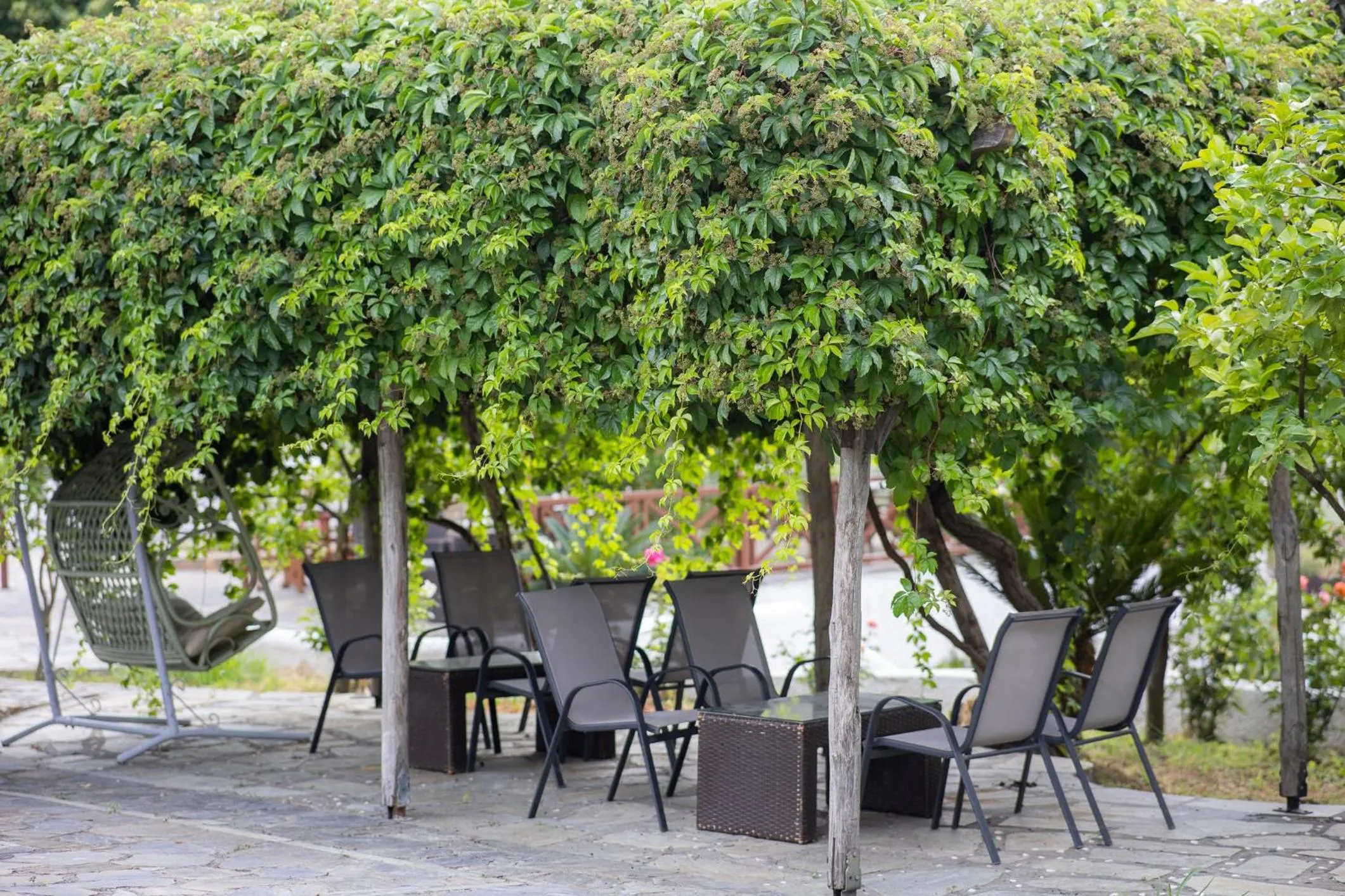 Day in Seralis Pelion