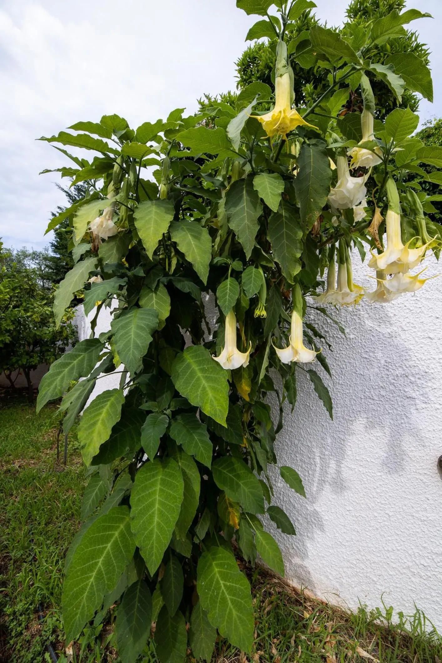 Natural landscape in Seralis Pelion