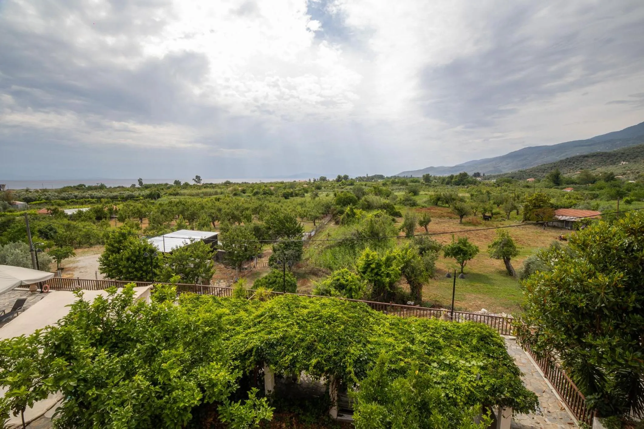View (from property/room) in Seralis Pelion