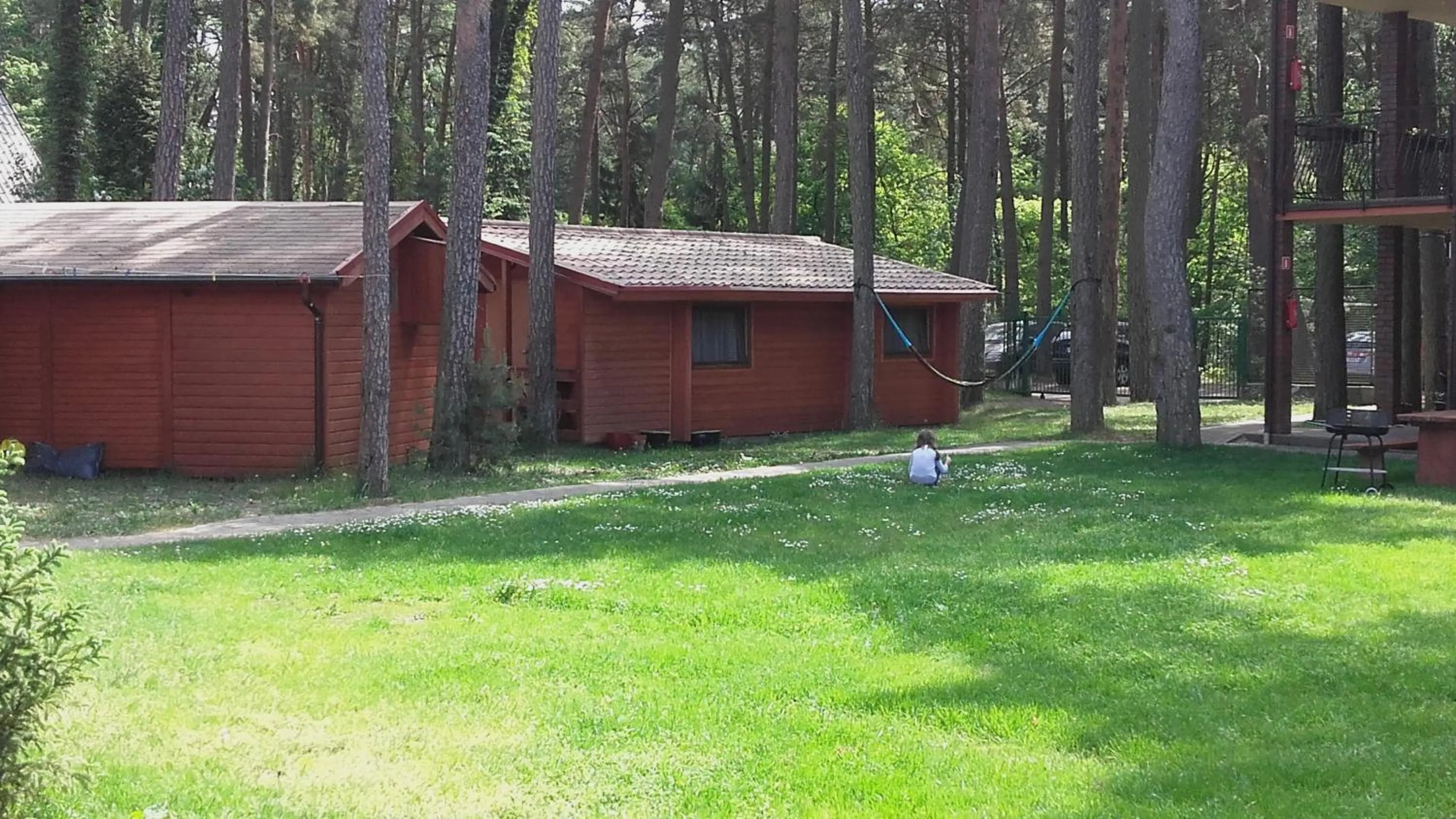 Activities in OW Gabi