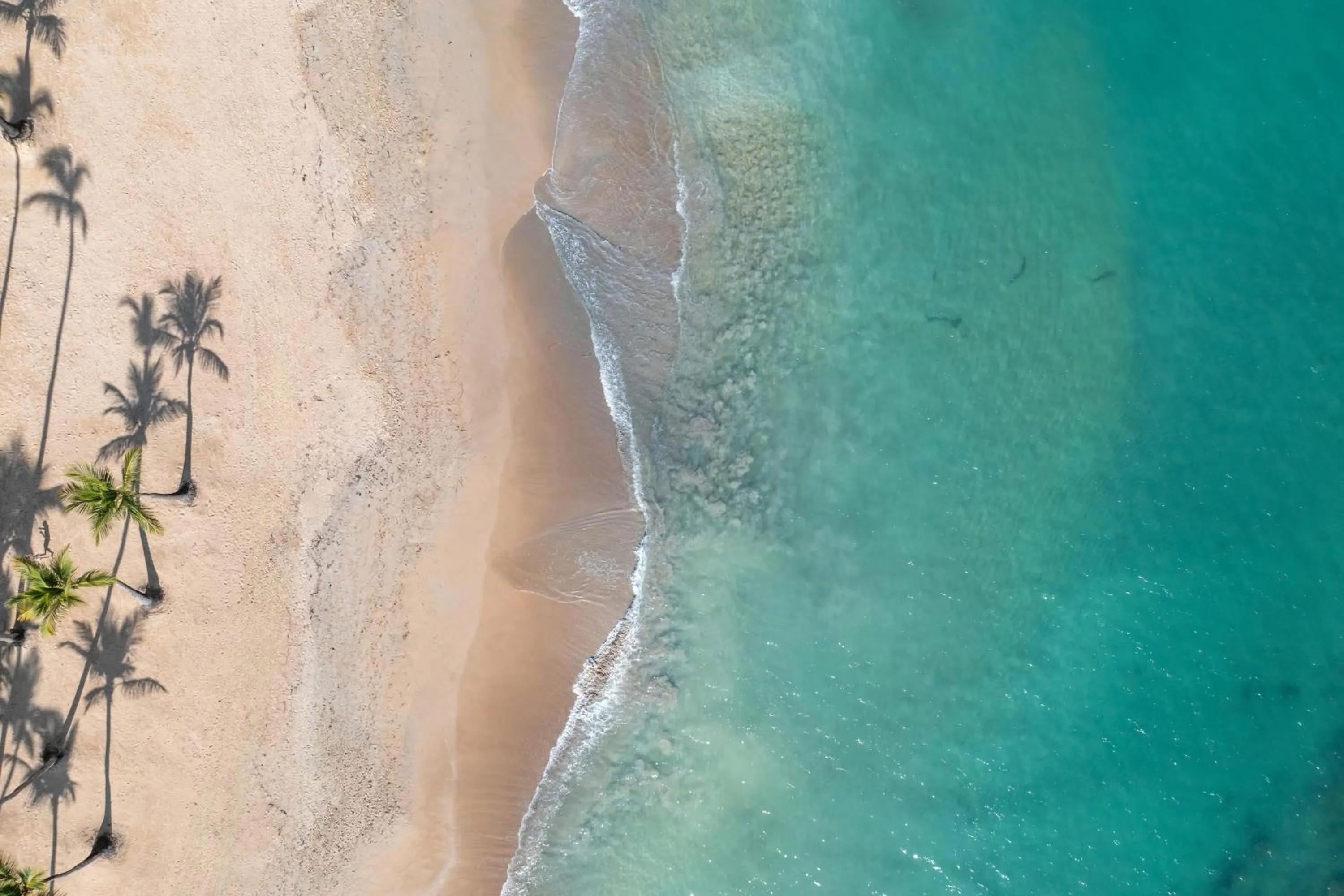 Other in Wyndham Alltra Punta Cana All Inclusive Resort