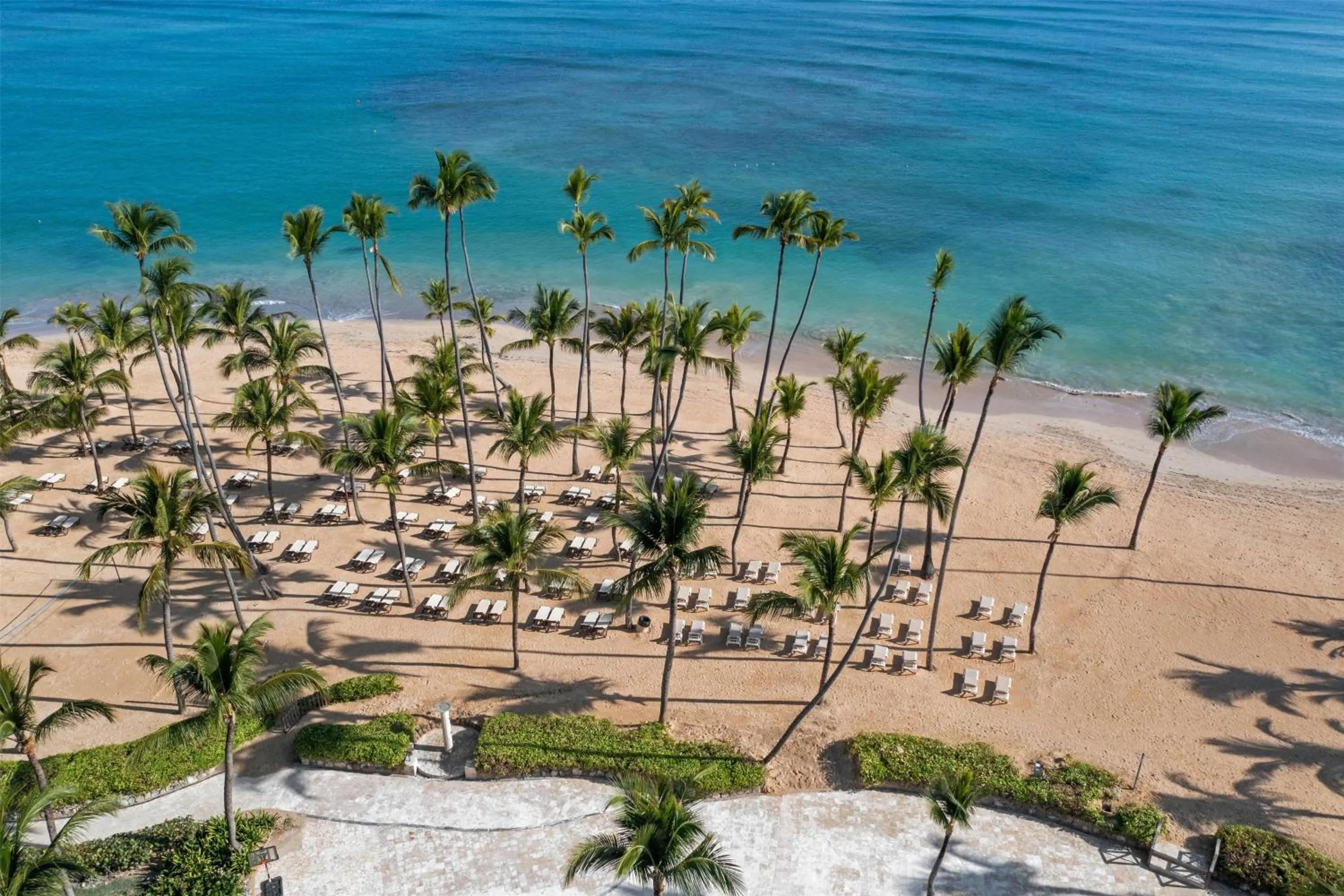 Other in Wyndham Alltra Punta Cana All Inclusive Resort