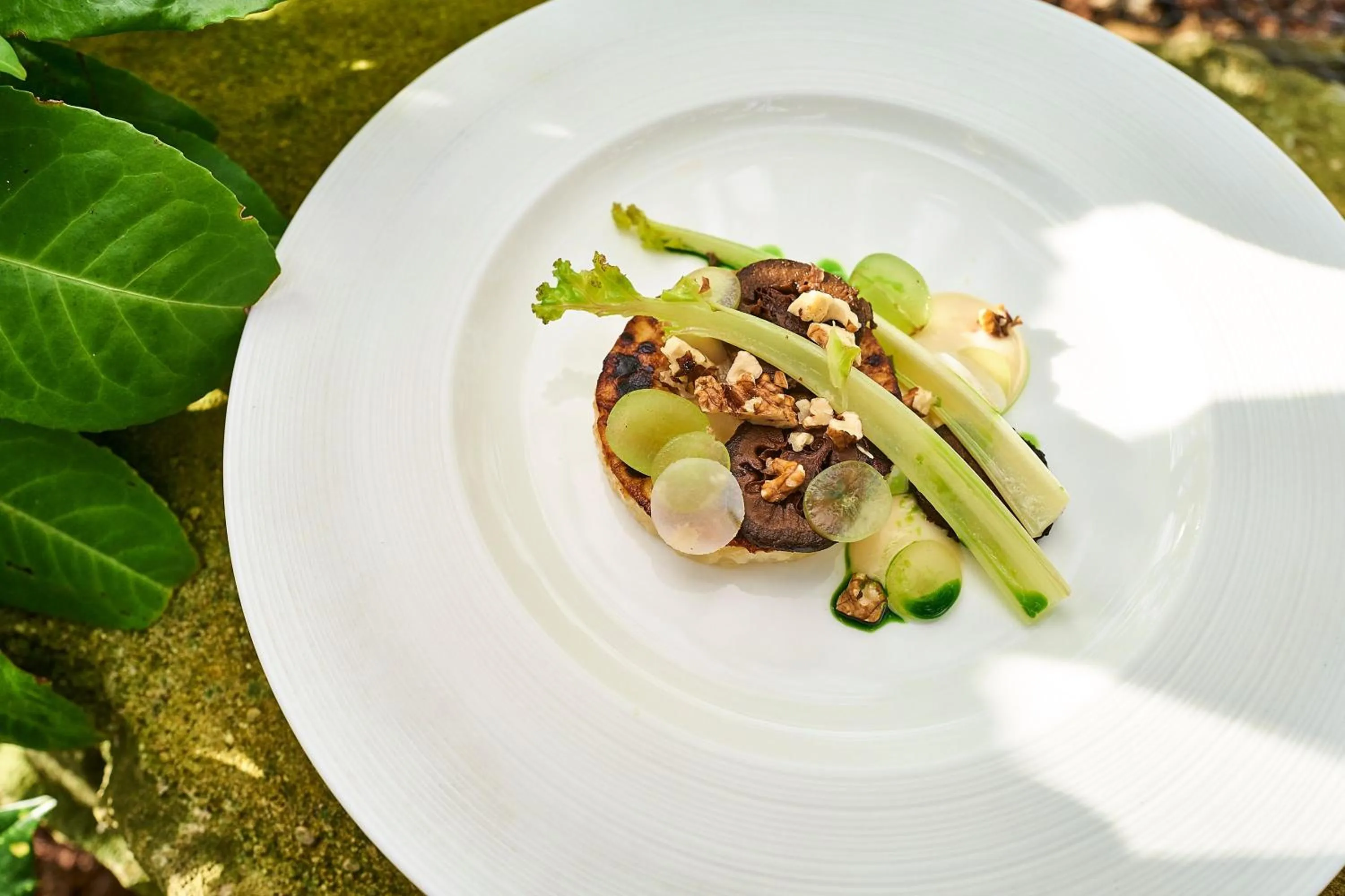 Food close-up in Old Swan & Minster Mill