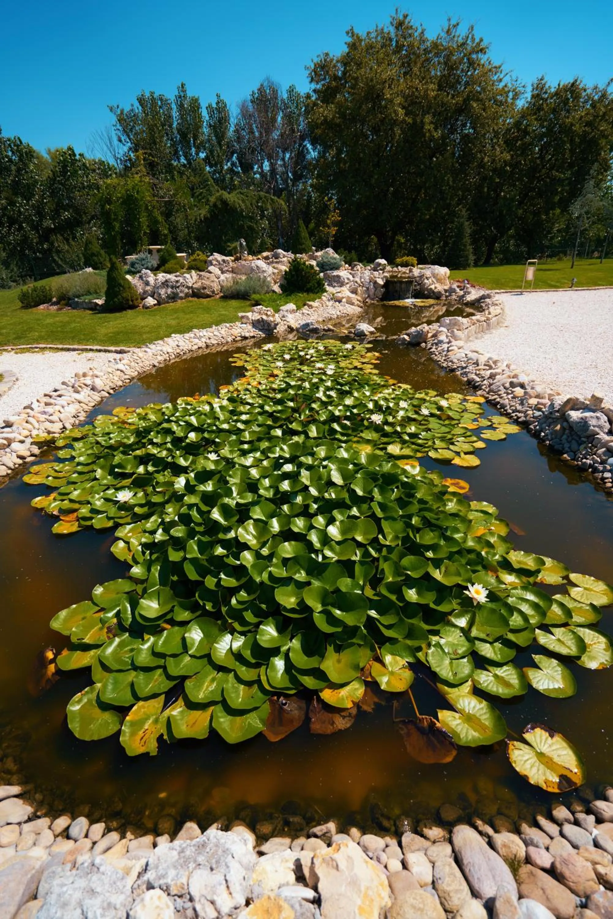 Garden in Boutique Complex Trakiets