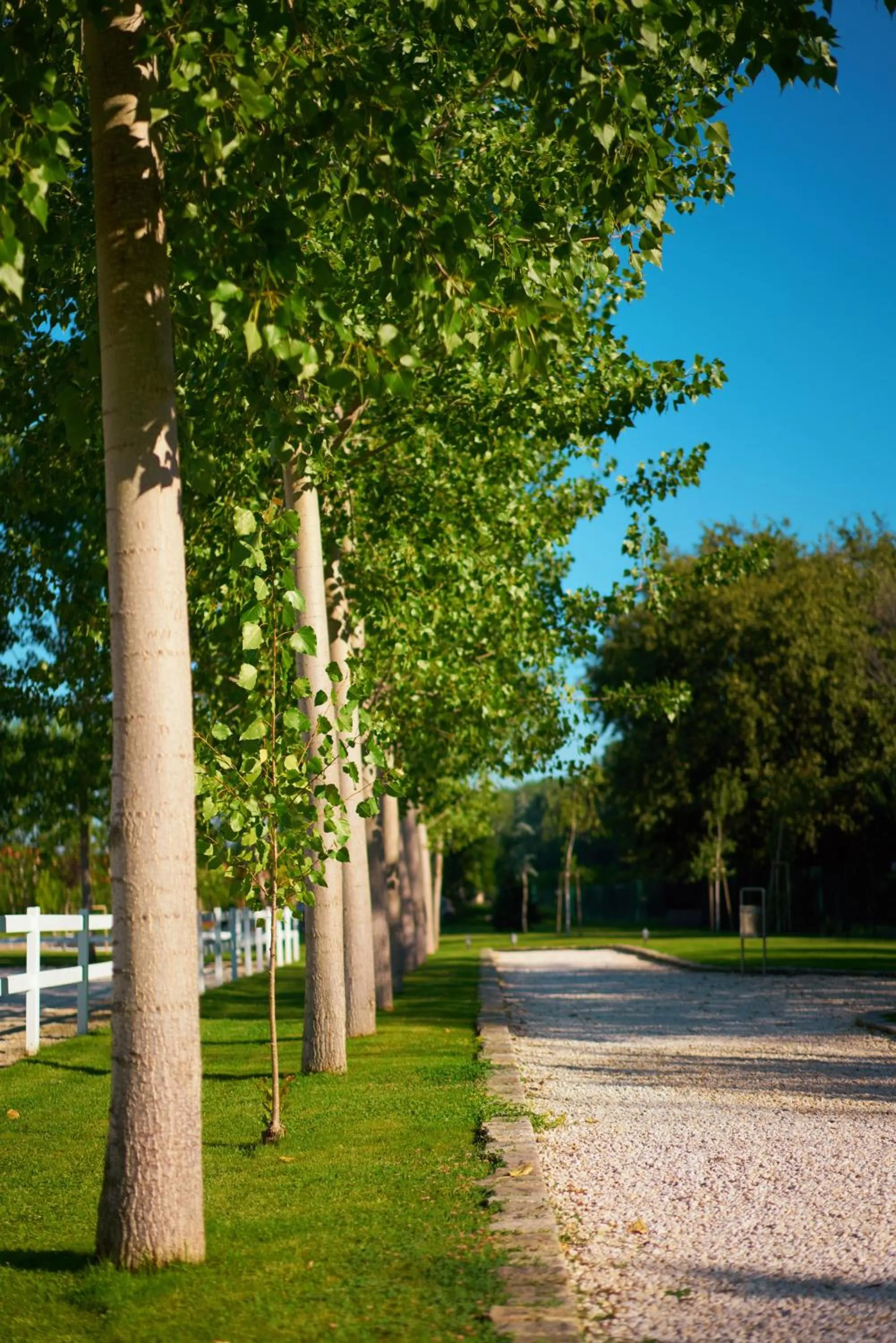 Garden view in Boutique Complex Trakiets
