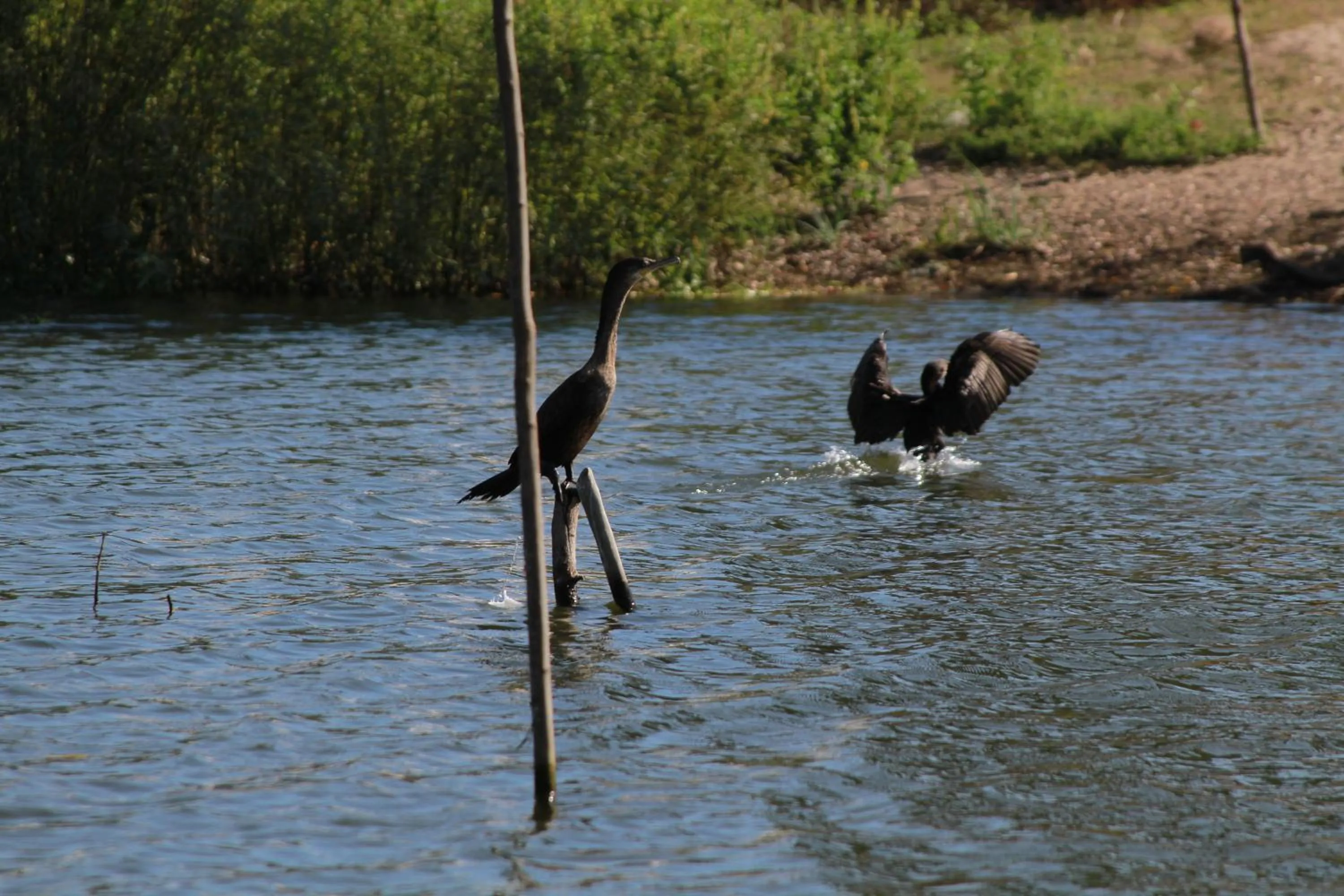 Aqua park in Hotel Gilda