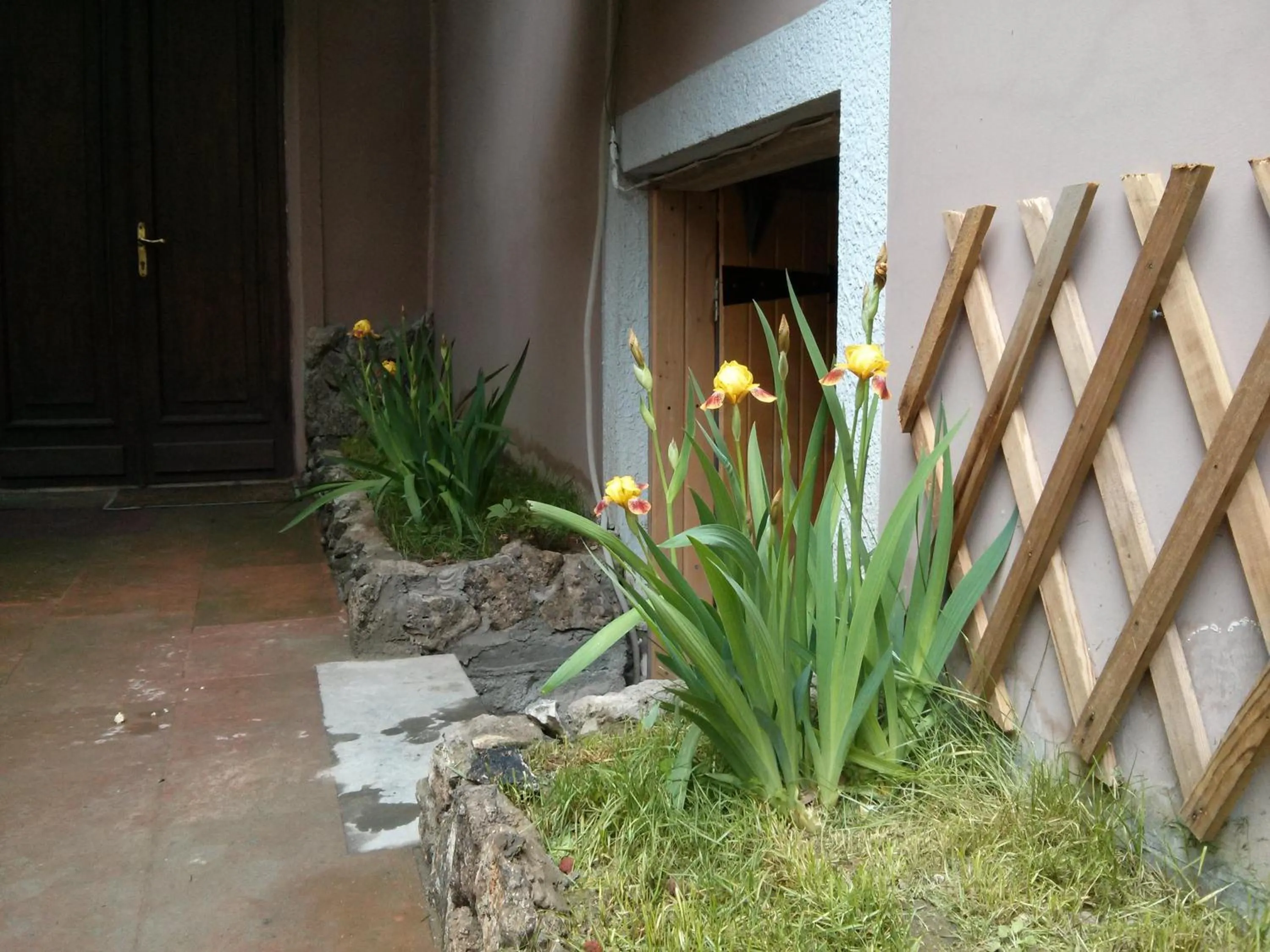 Other in Hin Yerevantsi Hotel