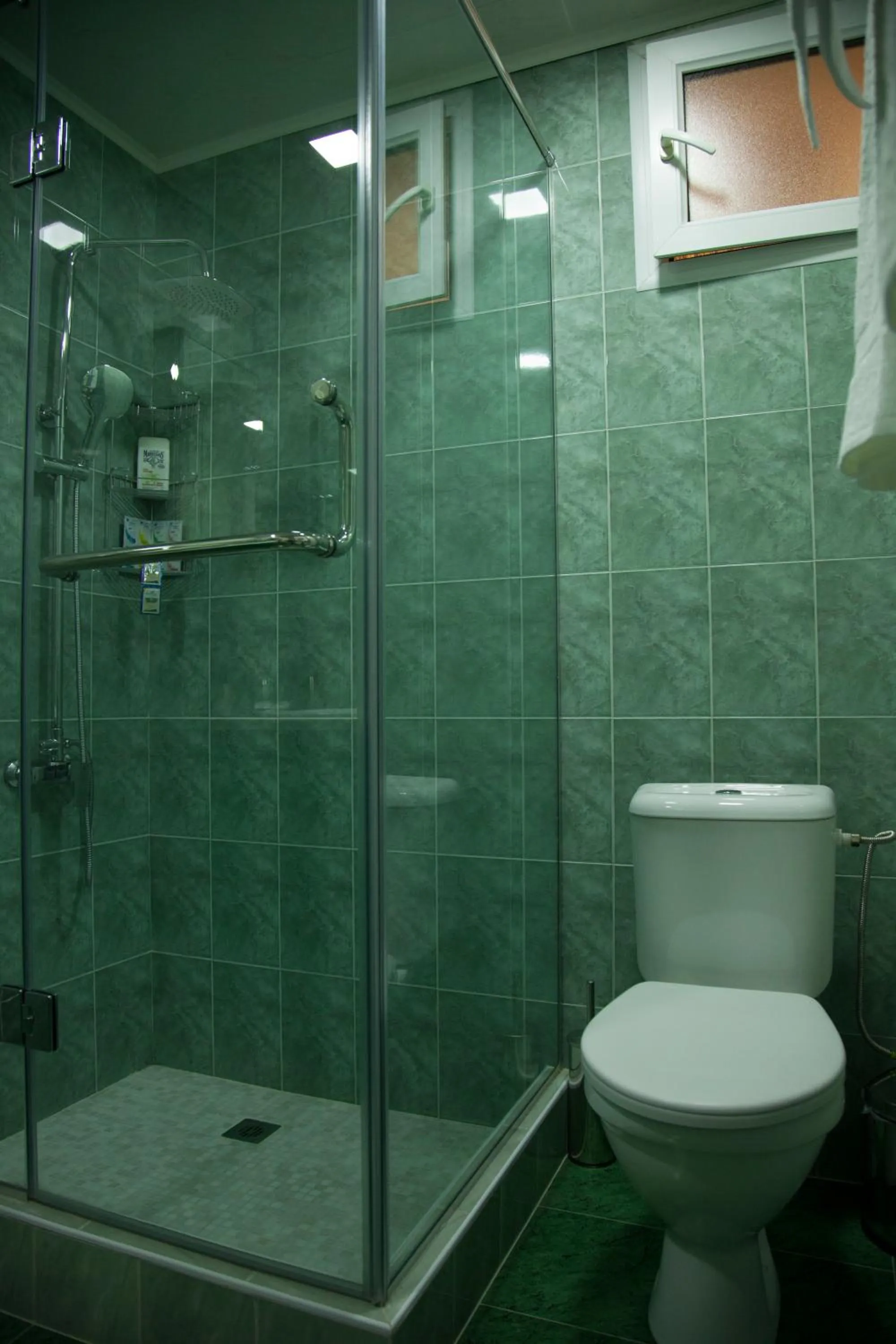 Toilet in Hin Yerevantsi Hotel