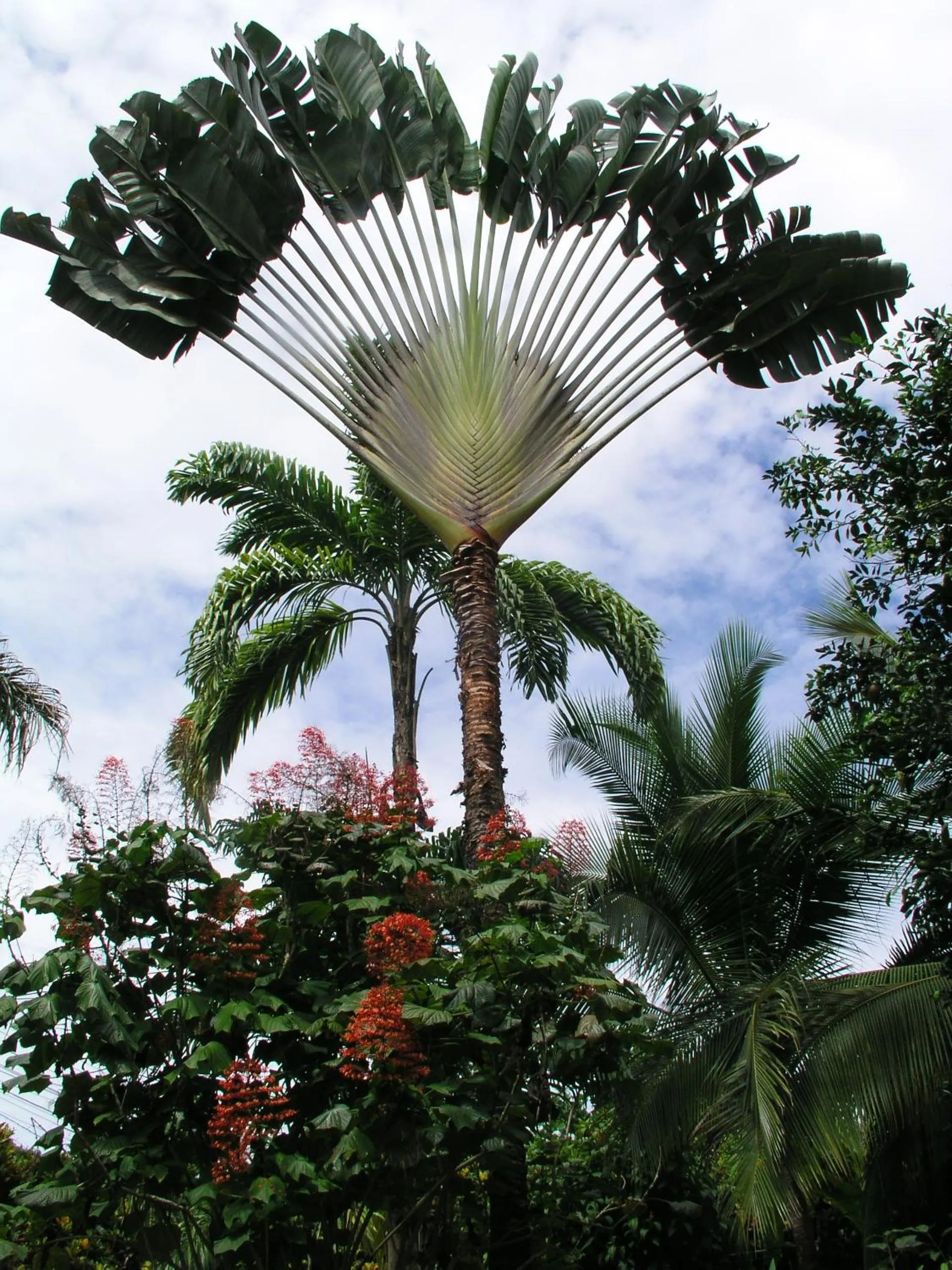 Neighbourhood in Tierra de Sueños Lodge & Wellness Center
