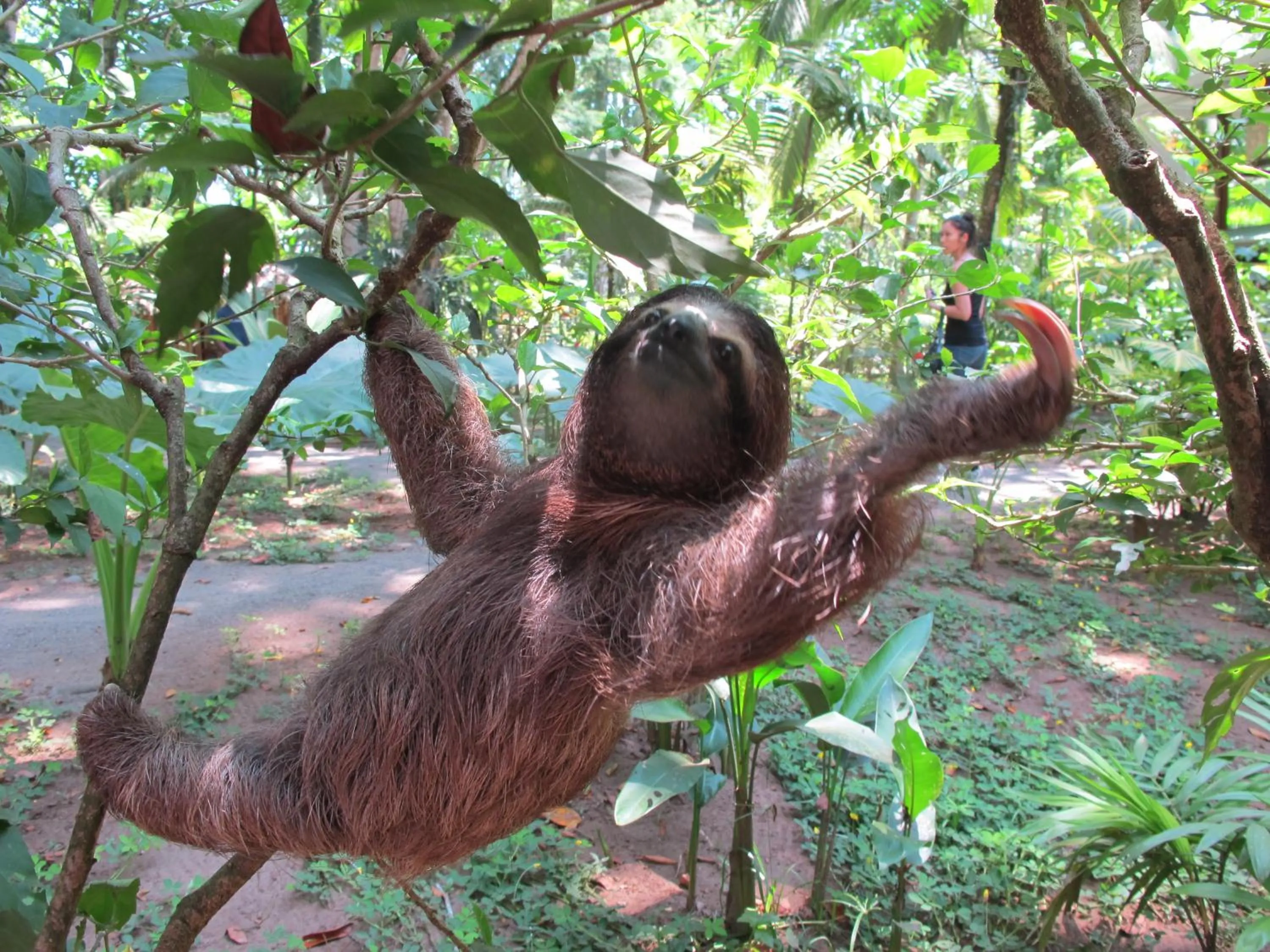 Animals in Tierra de Sueños Lodge & Wellness Center