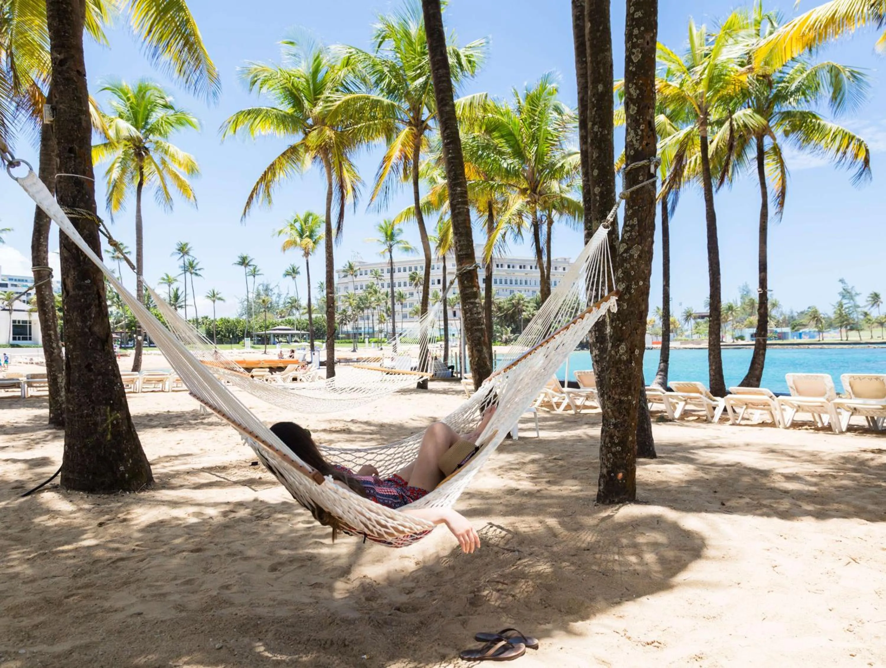 Garden in Caribe Hilton