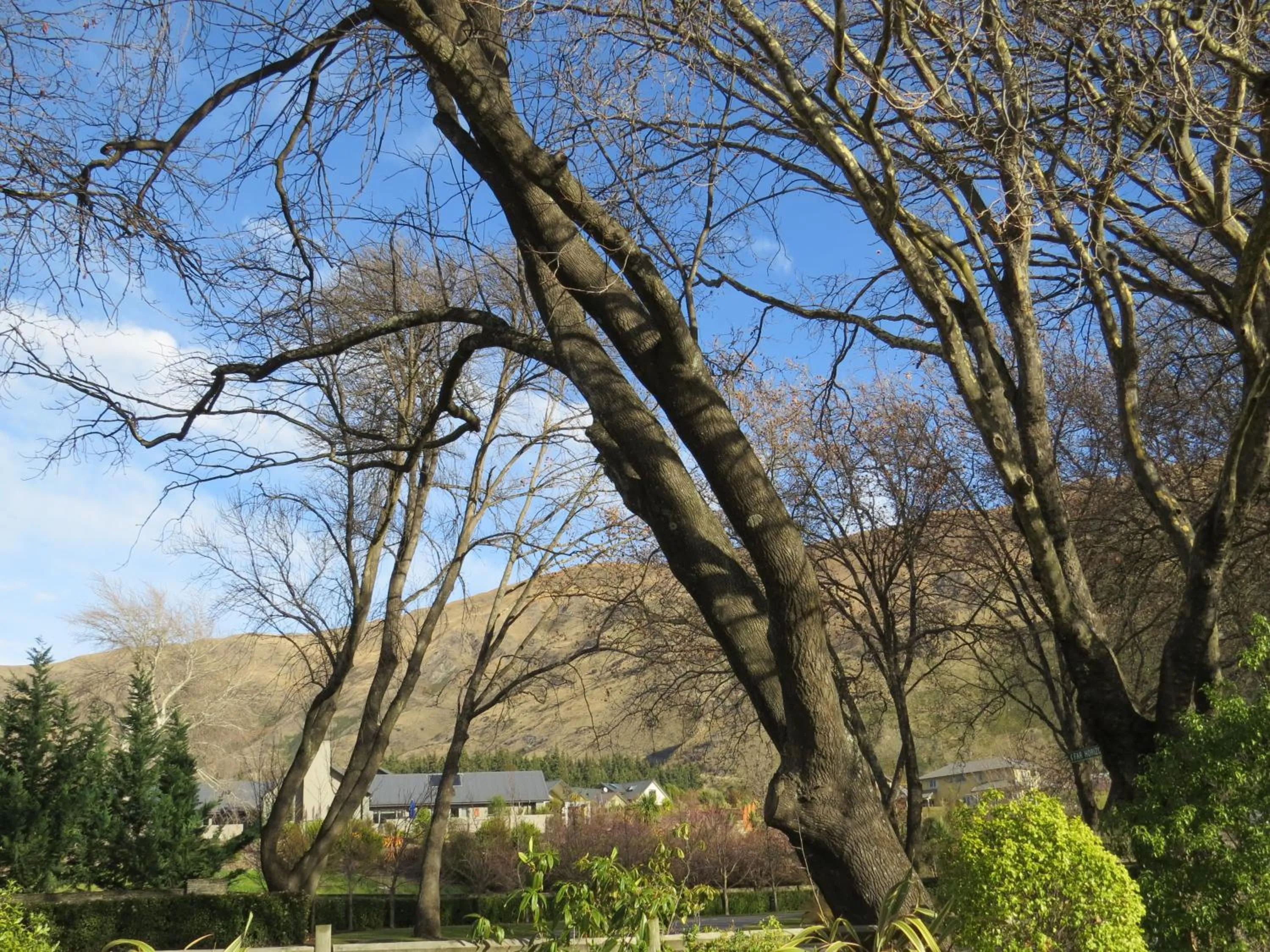 Natural landscape in Altamont Lodge