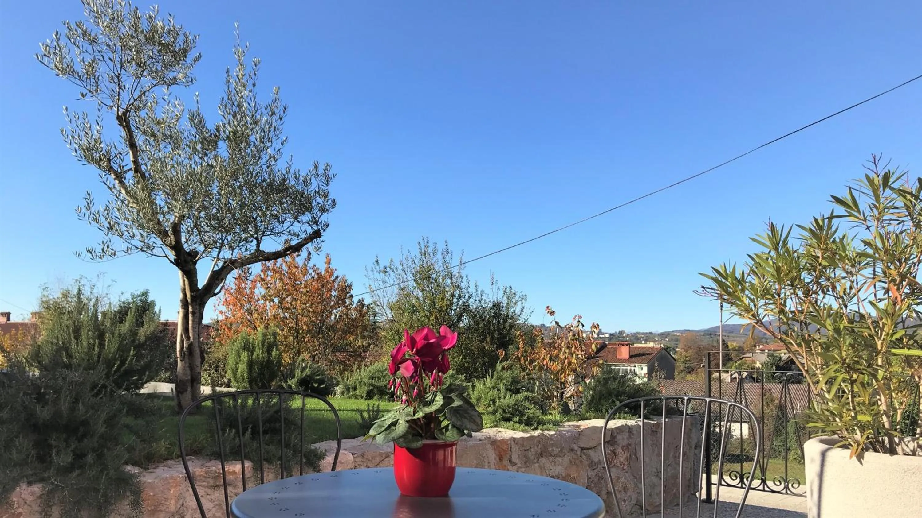 Garden in Vila Burbonka