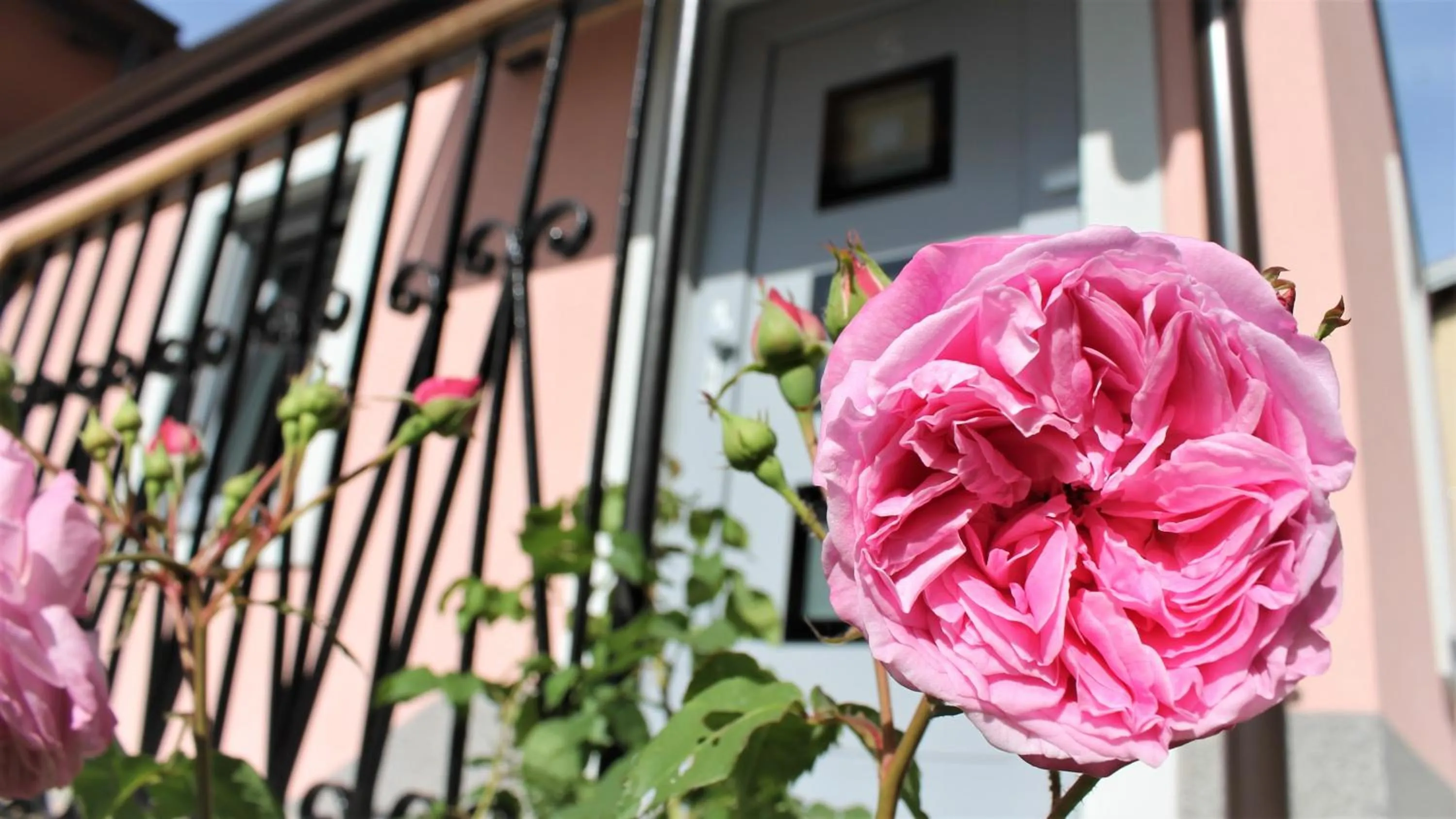 Balcony/Terrace in Vila Burbonka