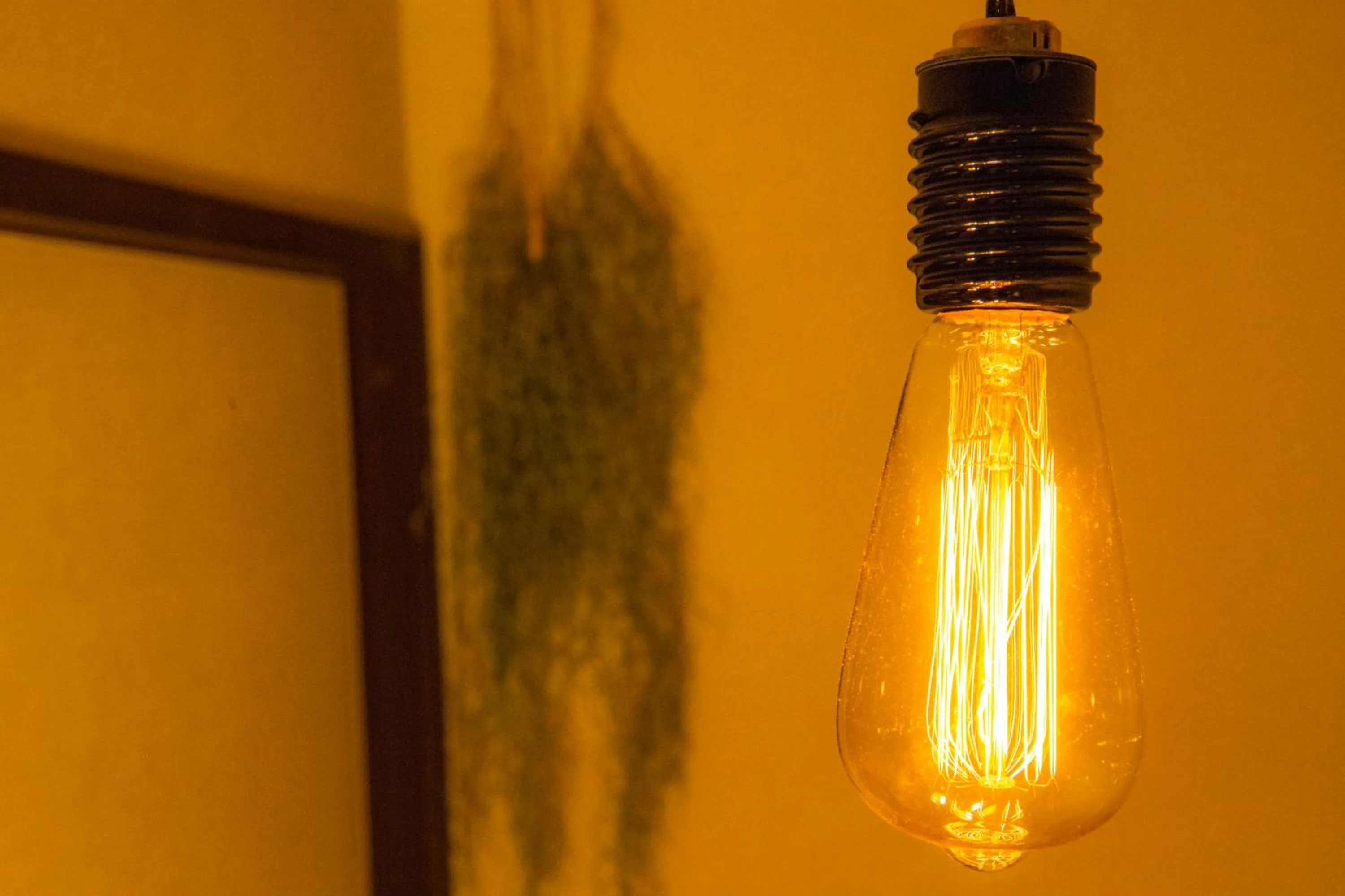 Decorative detail in SLOW HOUSE NARA