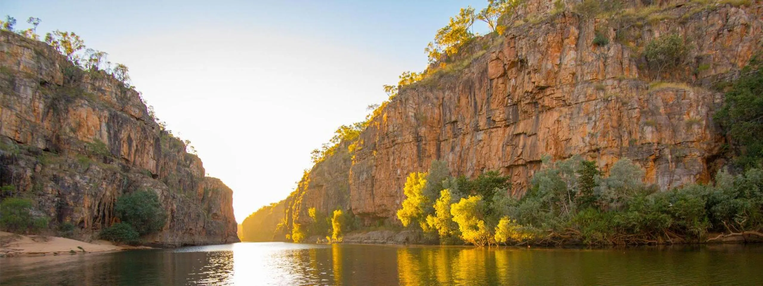 Natural landscape in Pine Tree Motel