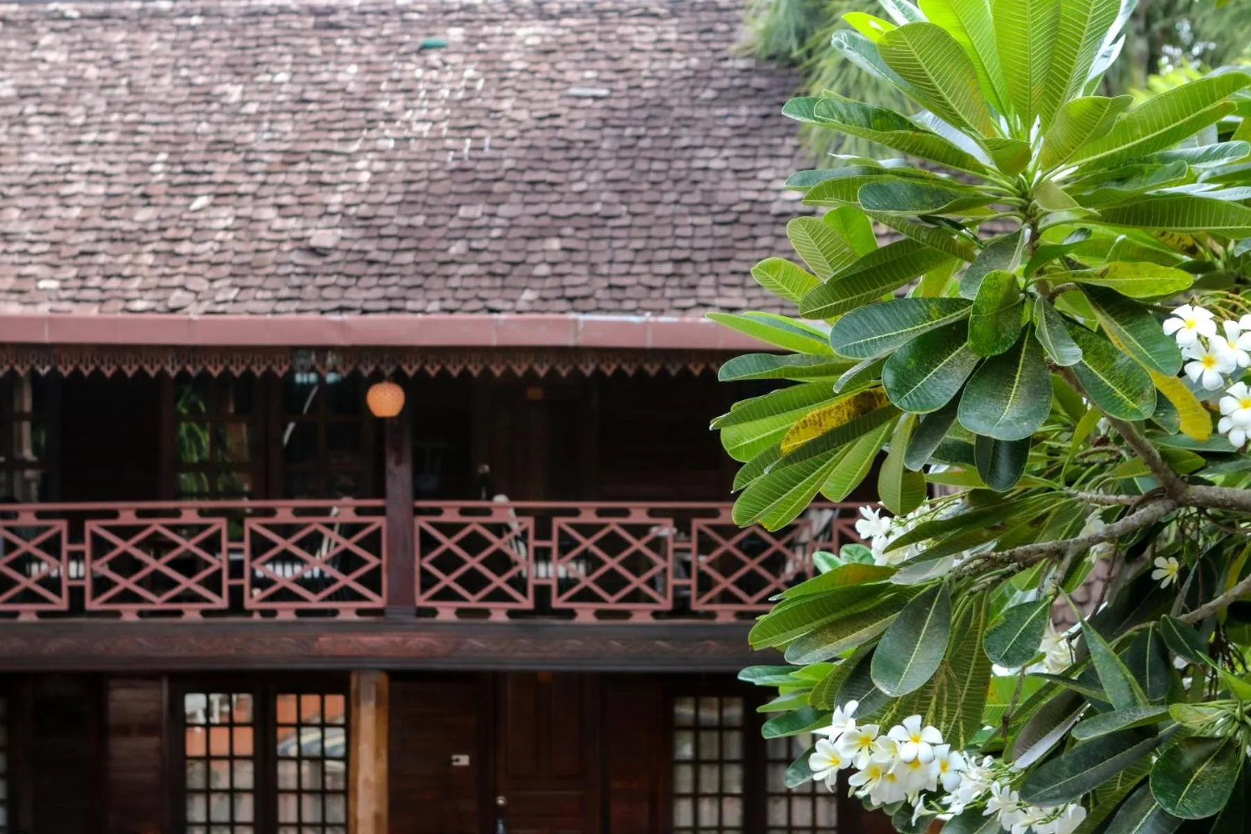 Property building in Chandara Boutique Hotel