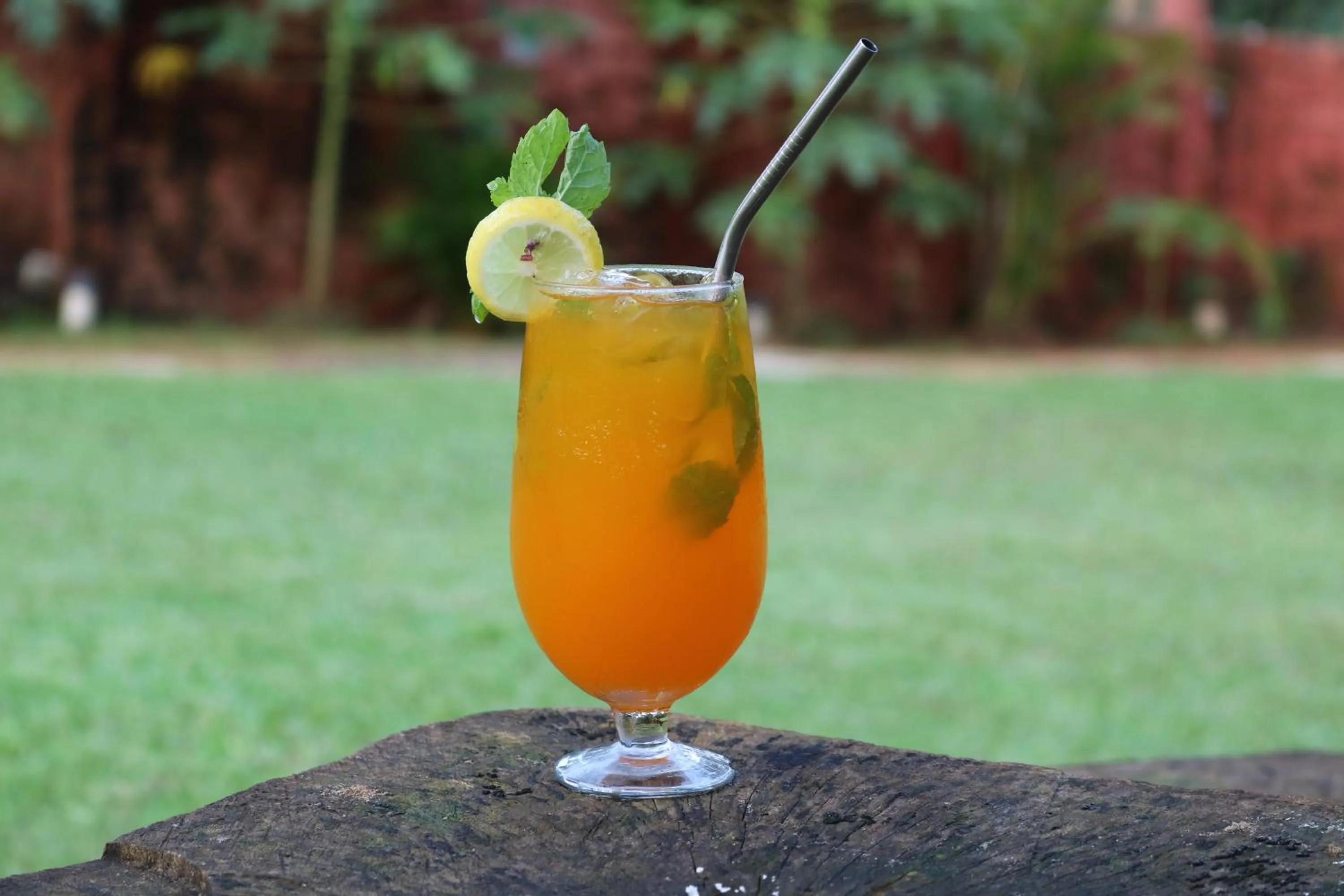 Drinks in Jasminn Hotel - AM Hotel Kollection