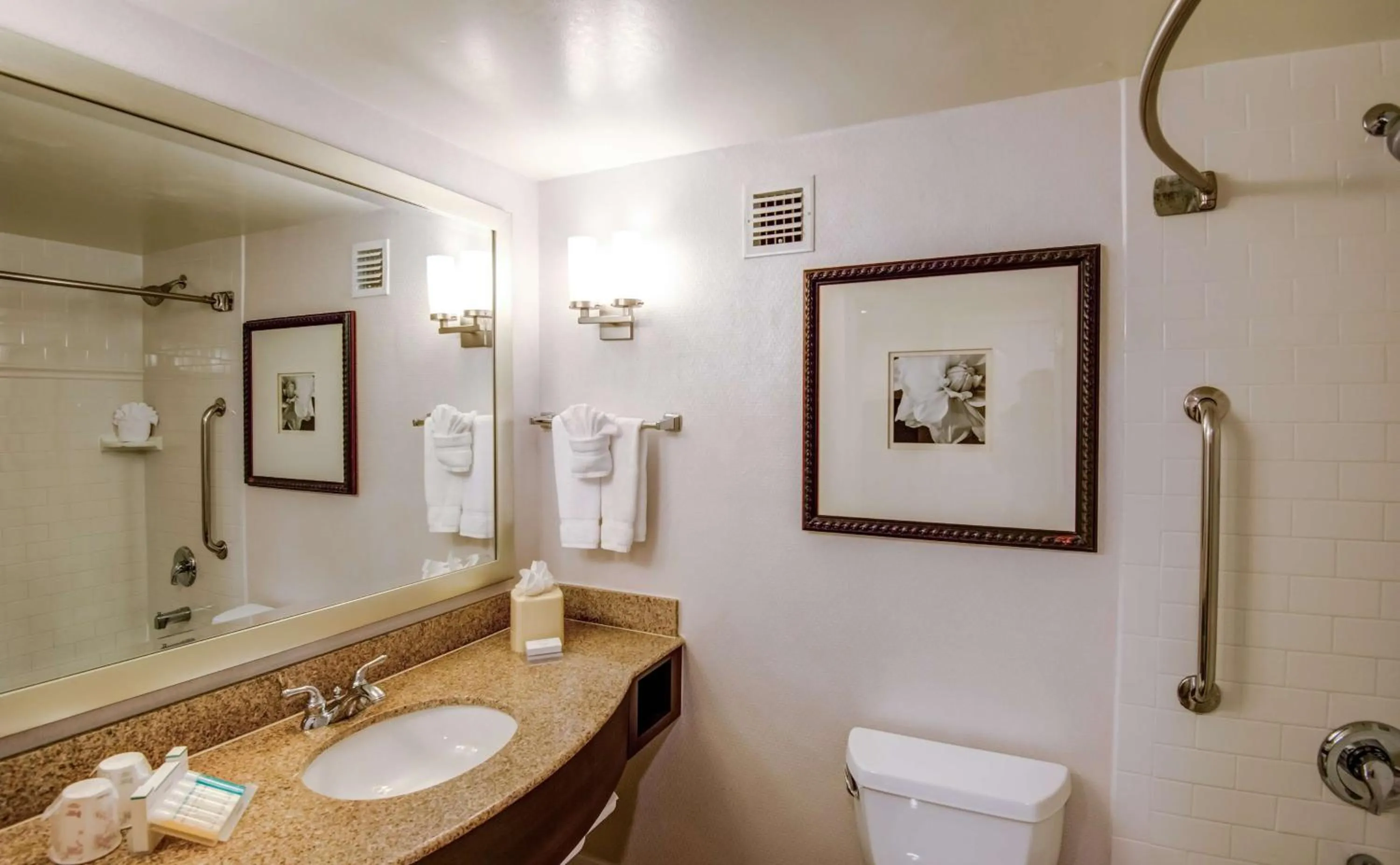 Bathroom in Hilton Garden Inn Tampa Ybor Historic District