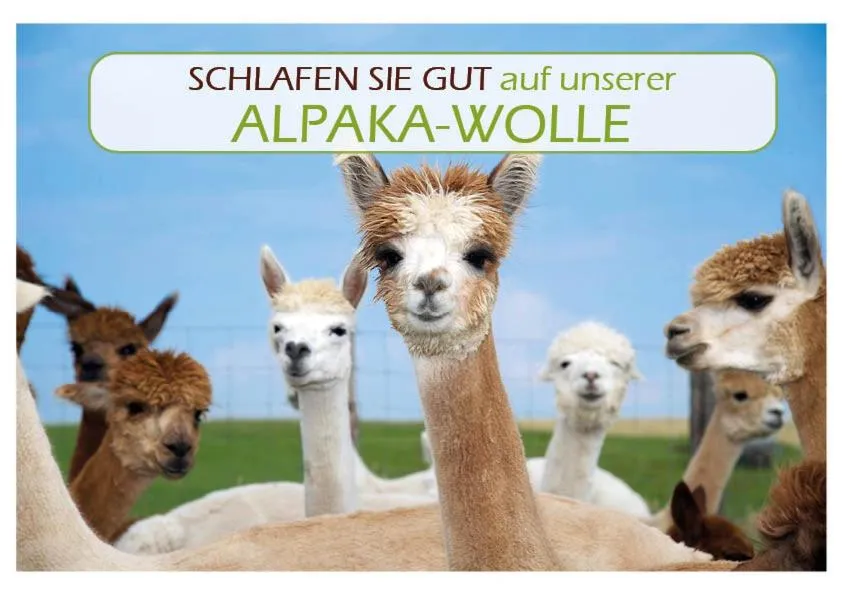 Property building in Landhotel Oßwald