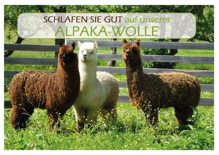 Bed in Landhotel Oßwald