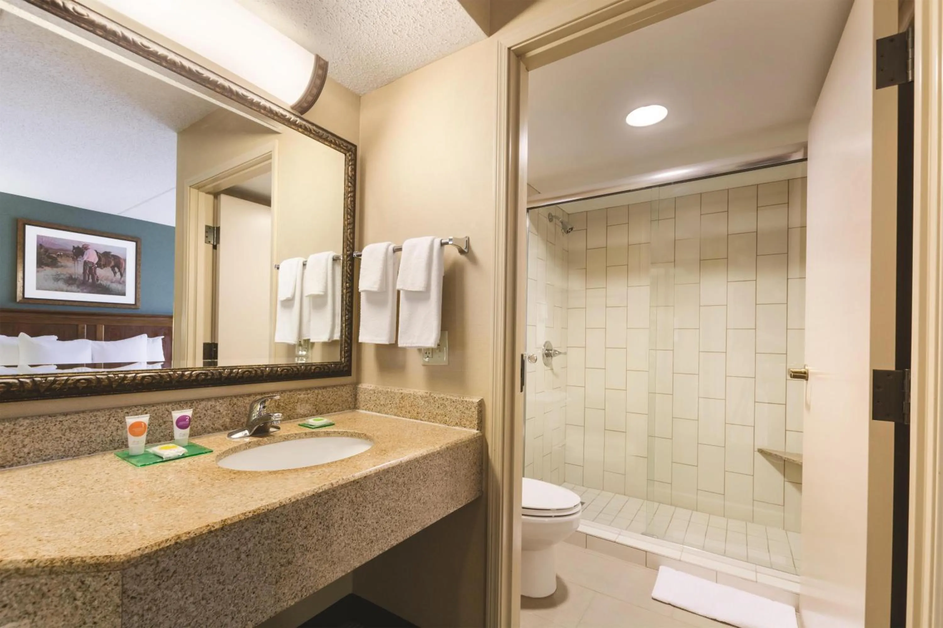 Bathroom in Hyatt Place Fort Worth Stockyard