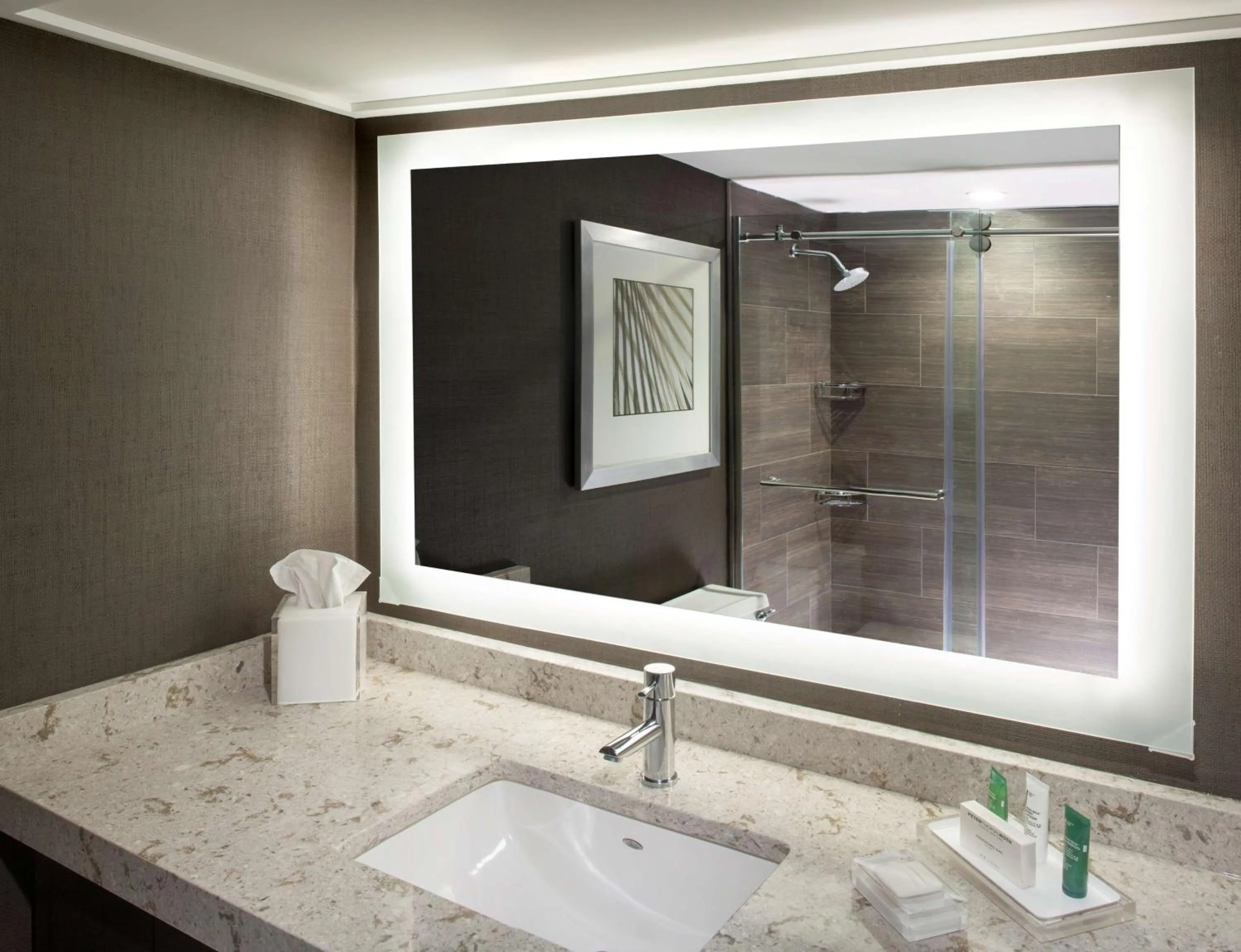 Bathroom in Hilton Tampa Airport Westshore