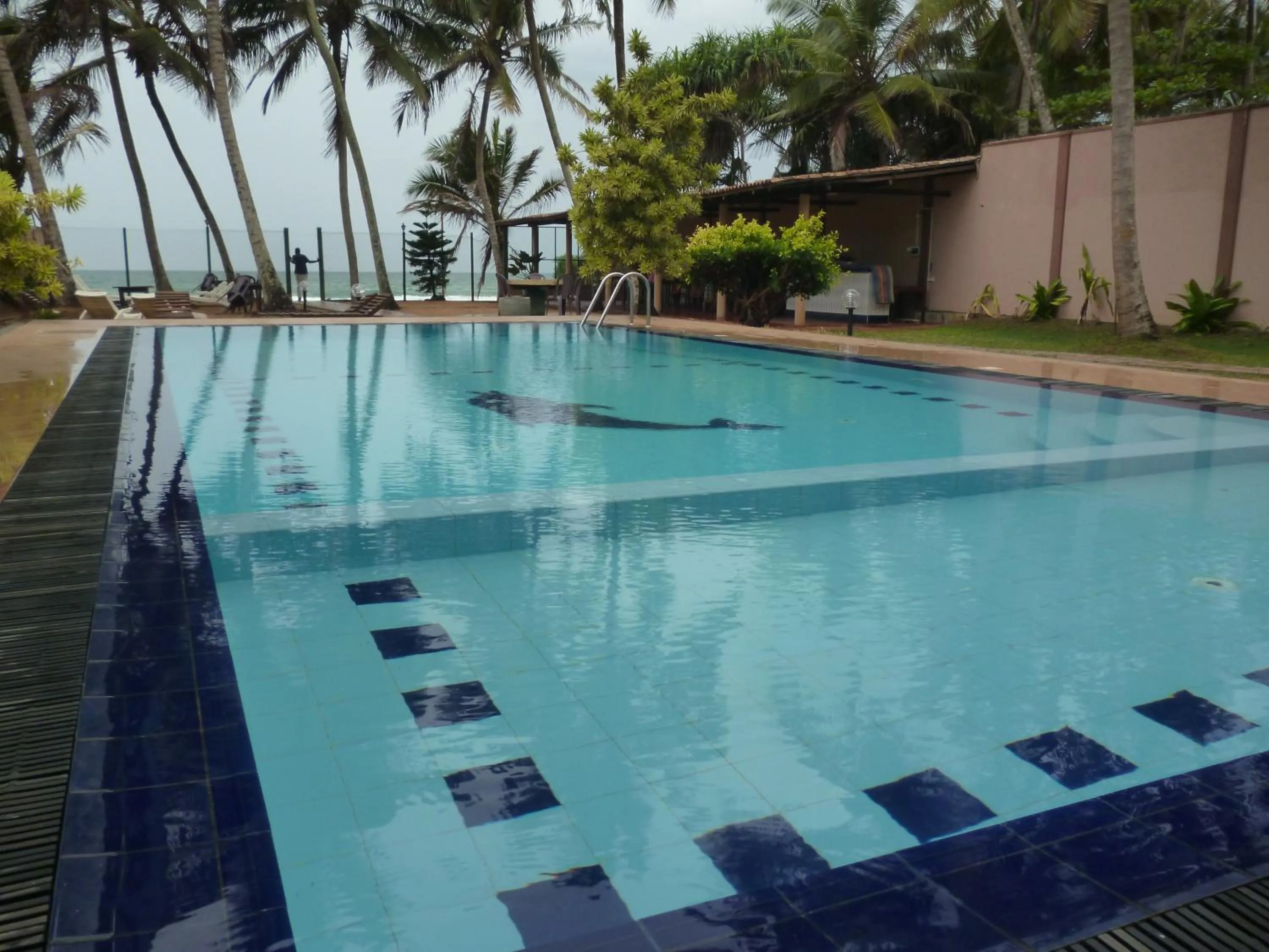 Garden in Hotel Ocean View Cottage