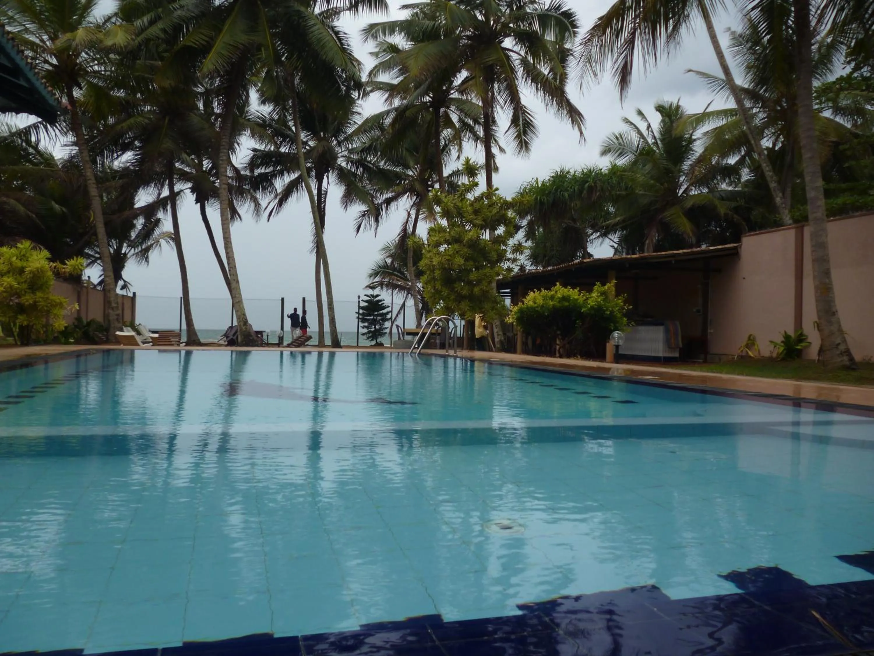 Garden in Hotel Ocean View Cottage