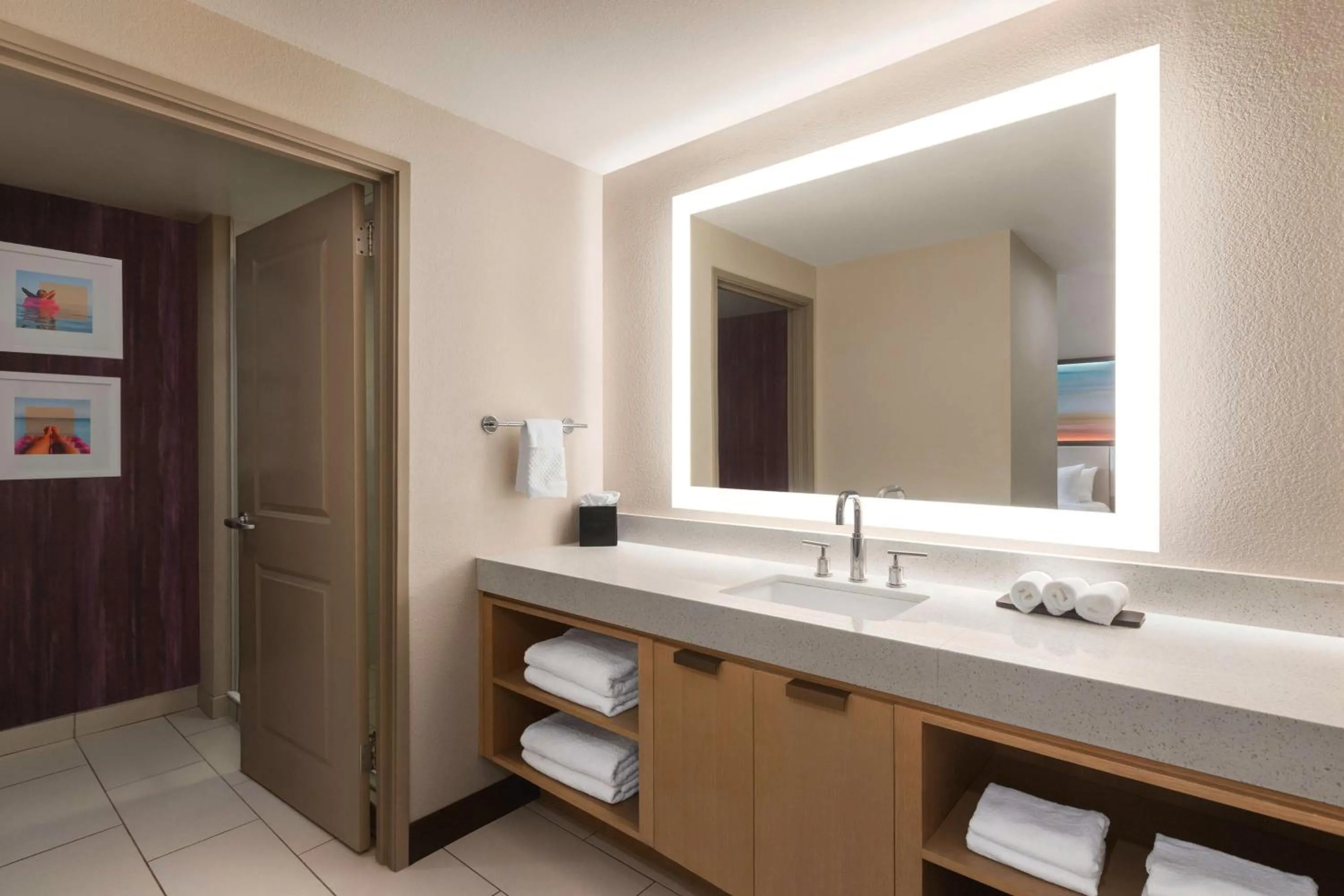 Bathroom in Embassy Suites by Hilton Tampa Downtown Convention Center