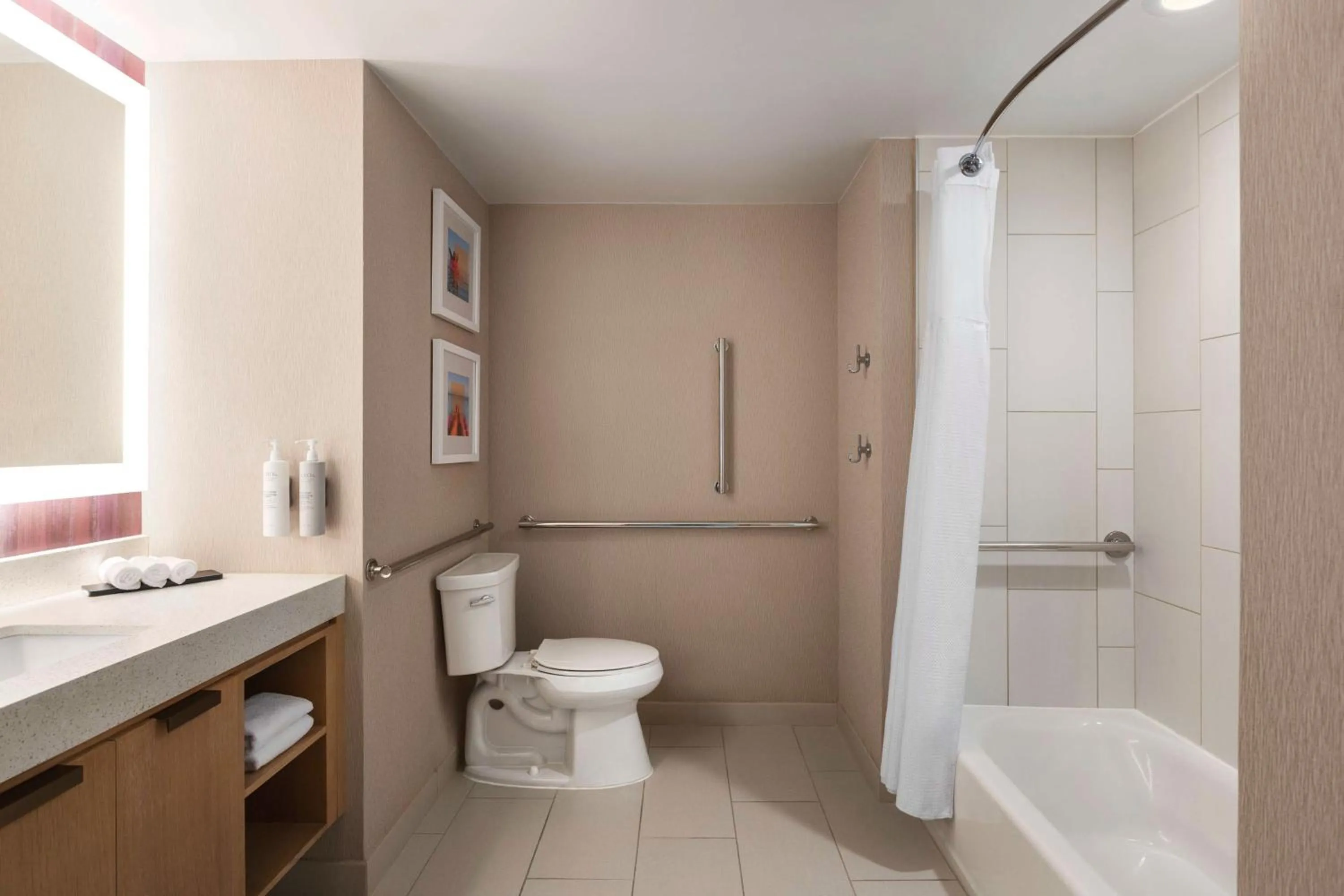 Bathroom in Embassy Suites by Hilton Tampa Downtown Convention Center