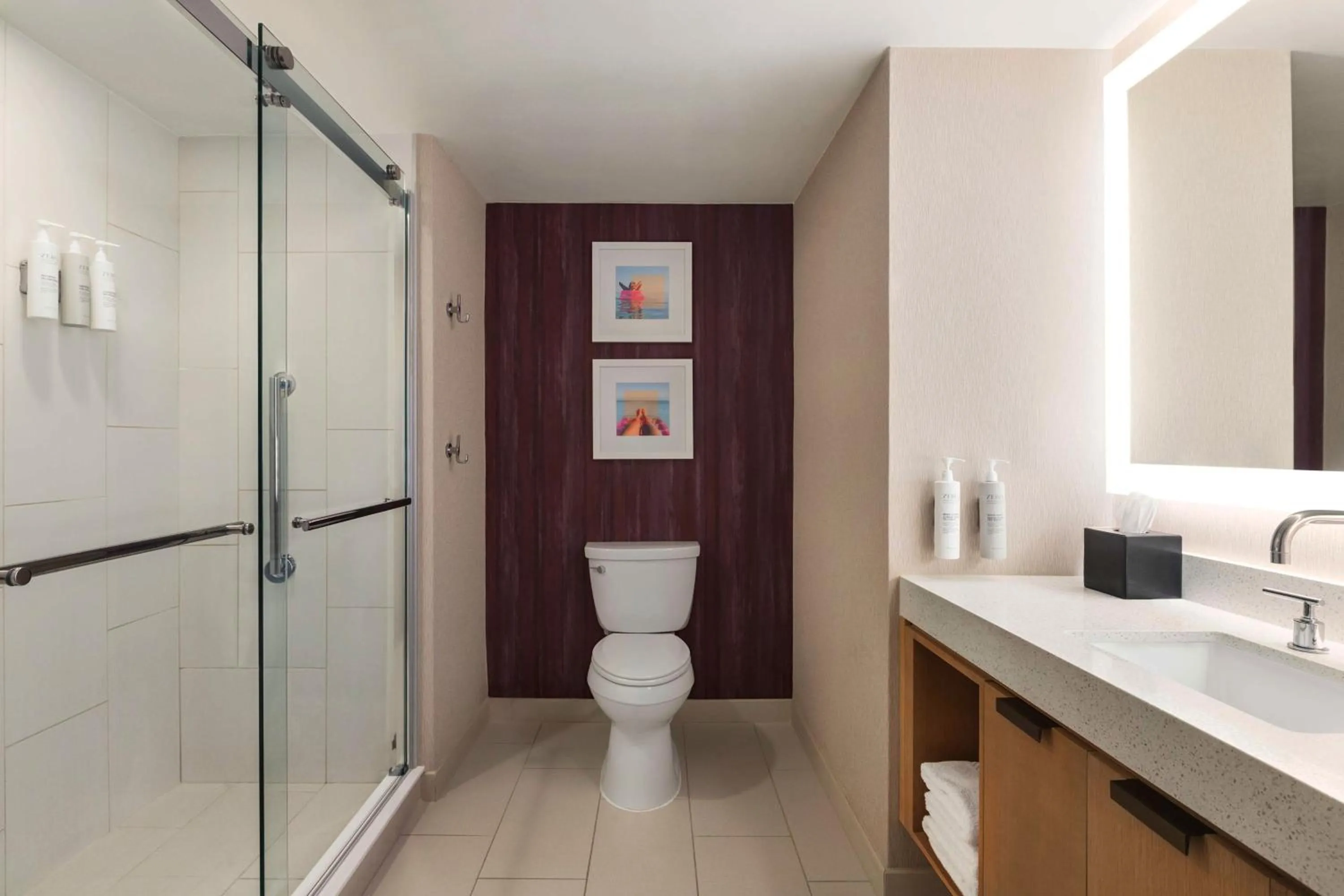 Bathroom in Embassy Suites by Hilton Tampa Downtown Convention Center