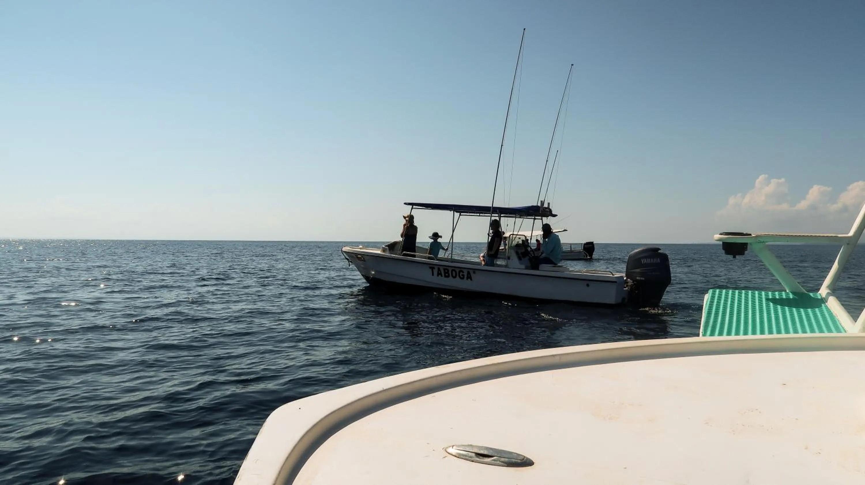 Sea view in Hotel Hoja de Oro Corcovado