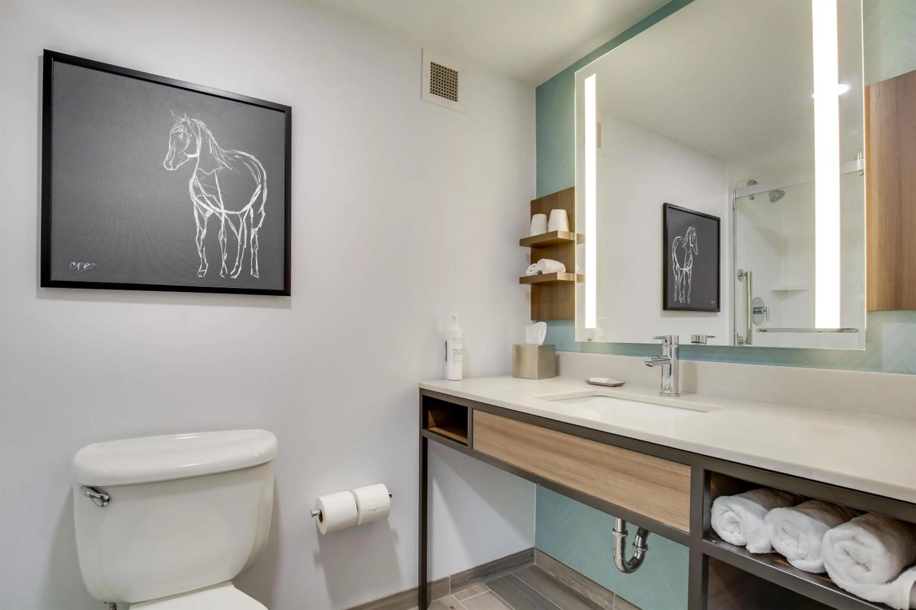 Bathroom in Hilton Garden Inn Louisville Airport