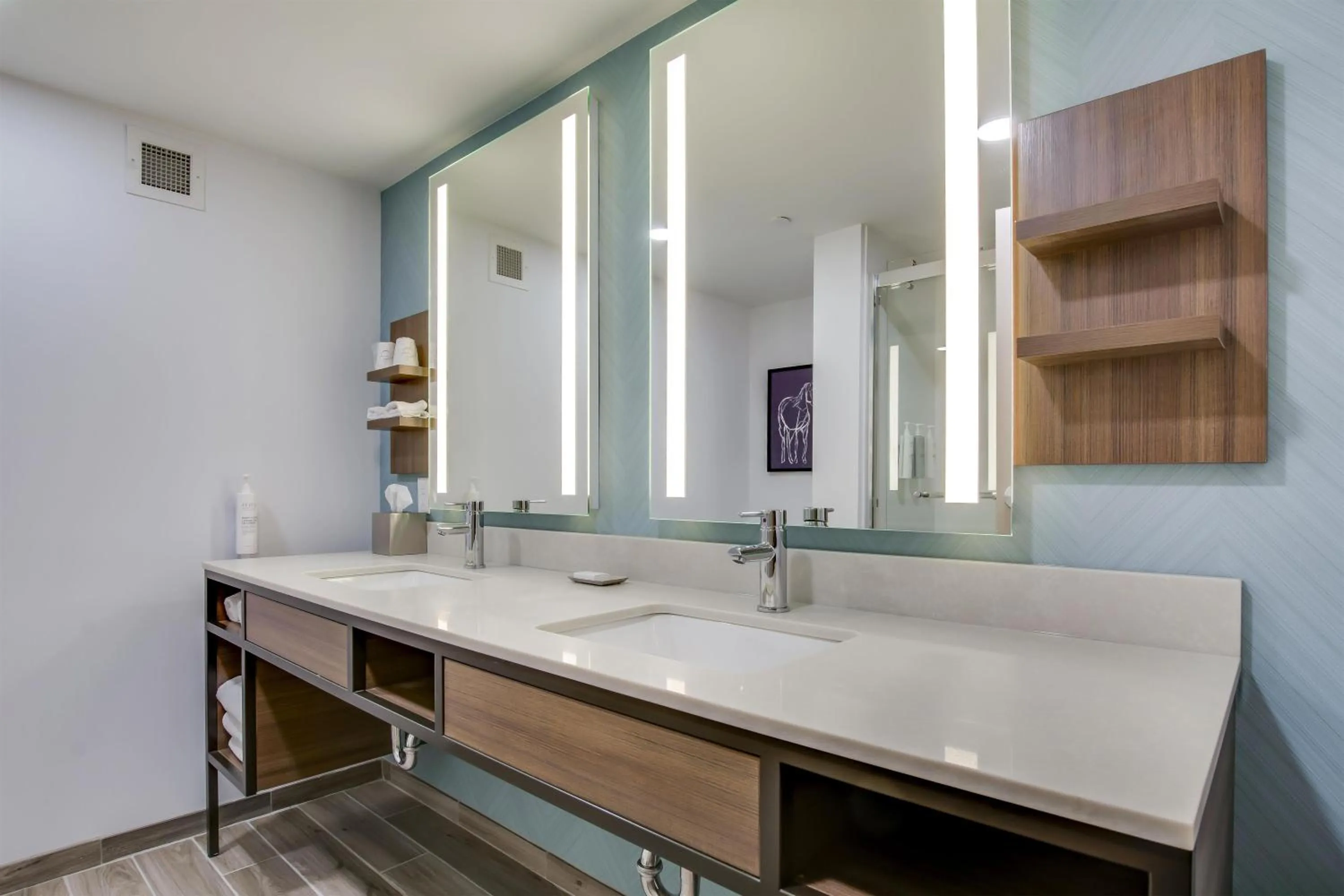 Bathroom in Hilton Garden Inn Louisville Airport