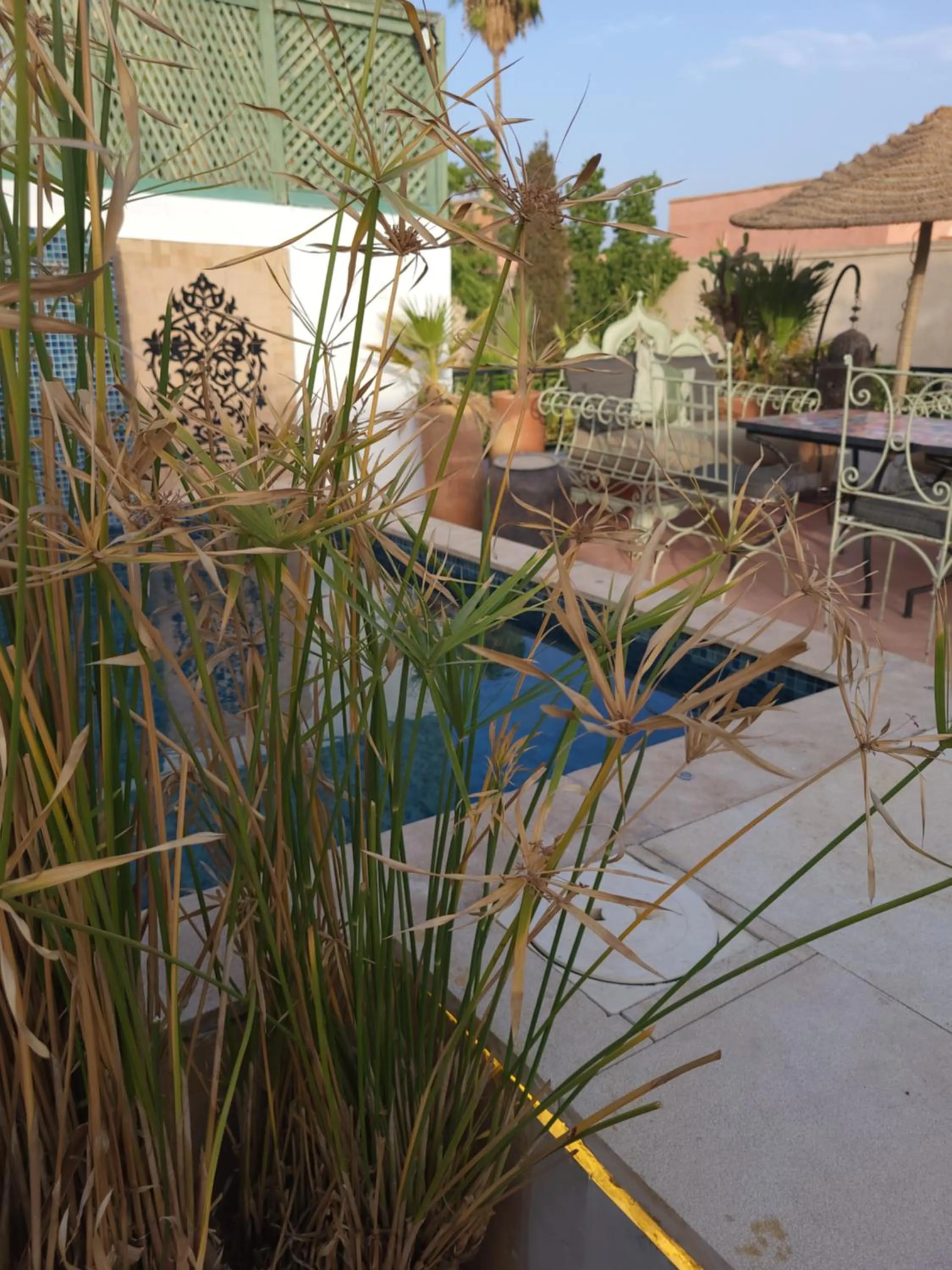 Swimming pool in Riad Swaka