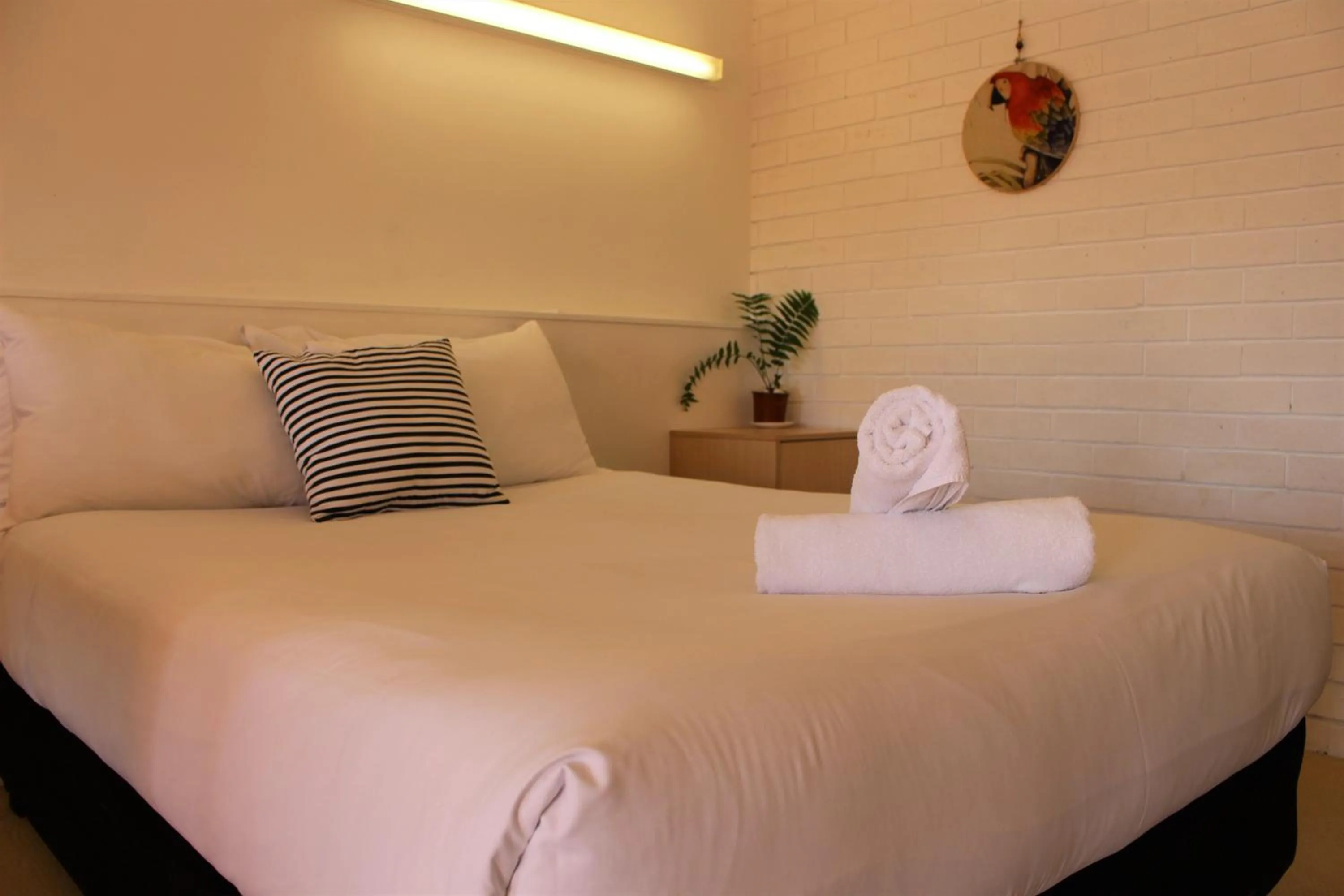 Bed in Camden Motor Inn