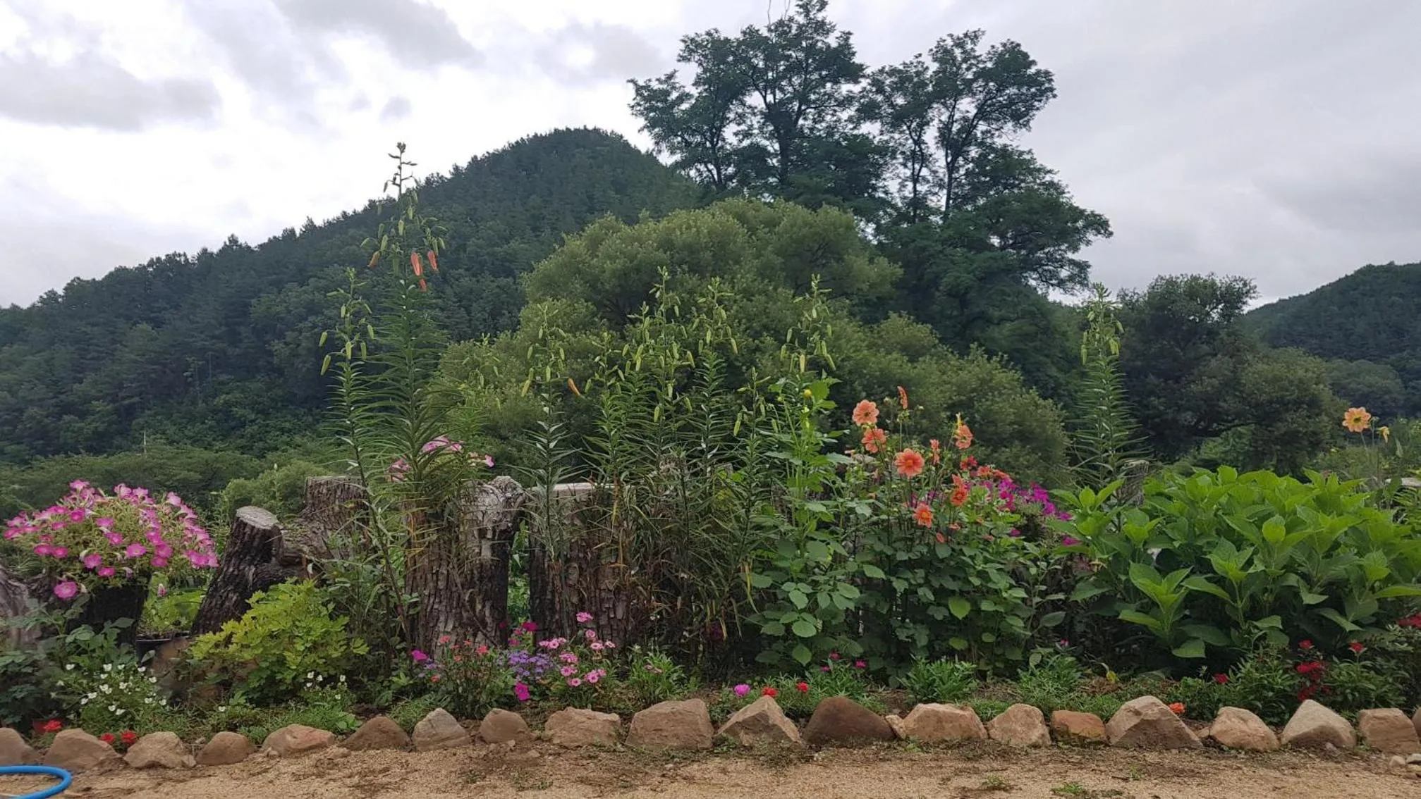 View (from property/room) in Moonlight House