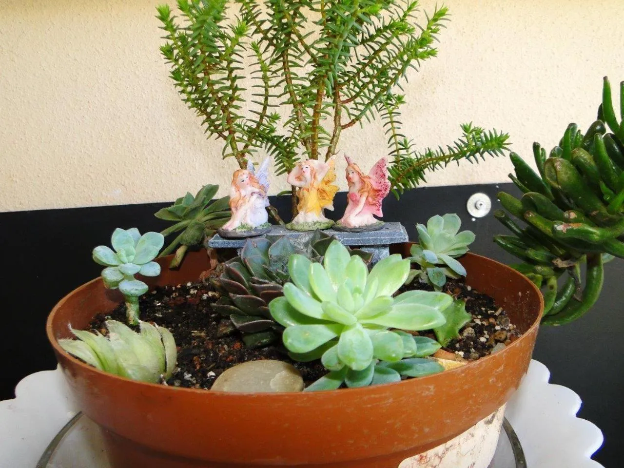 Garden view in Aalkie's Dream